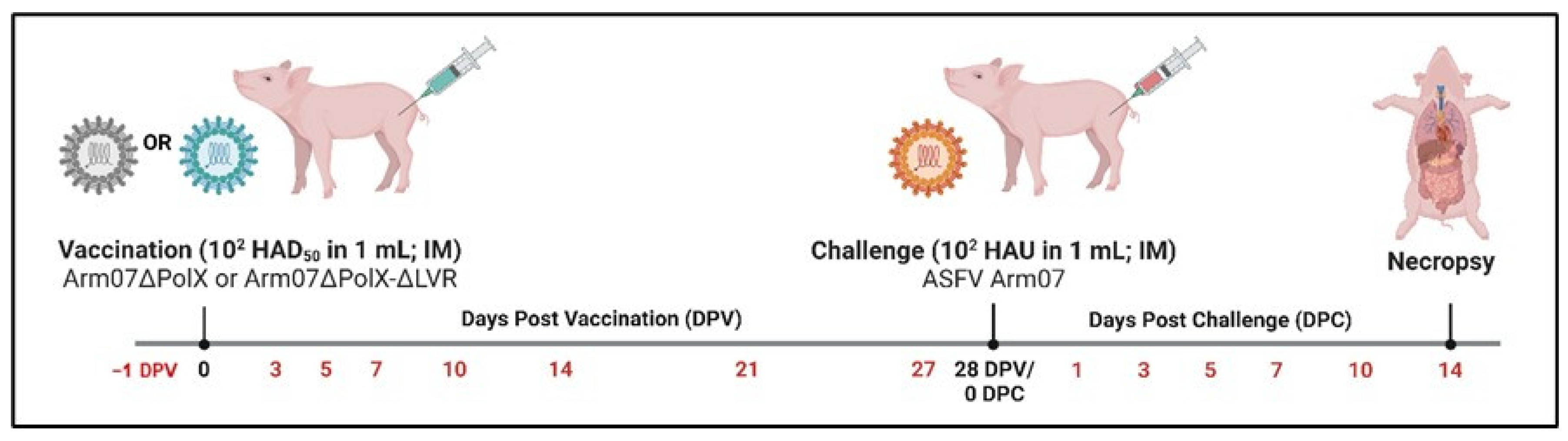 Vaccines 12 01125 g006