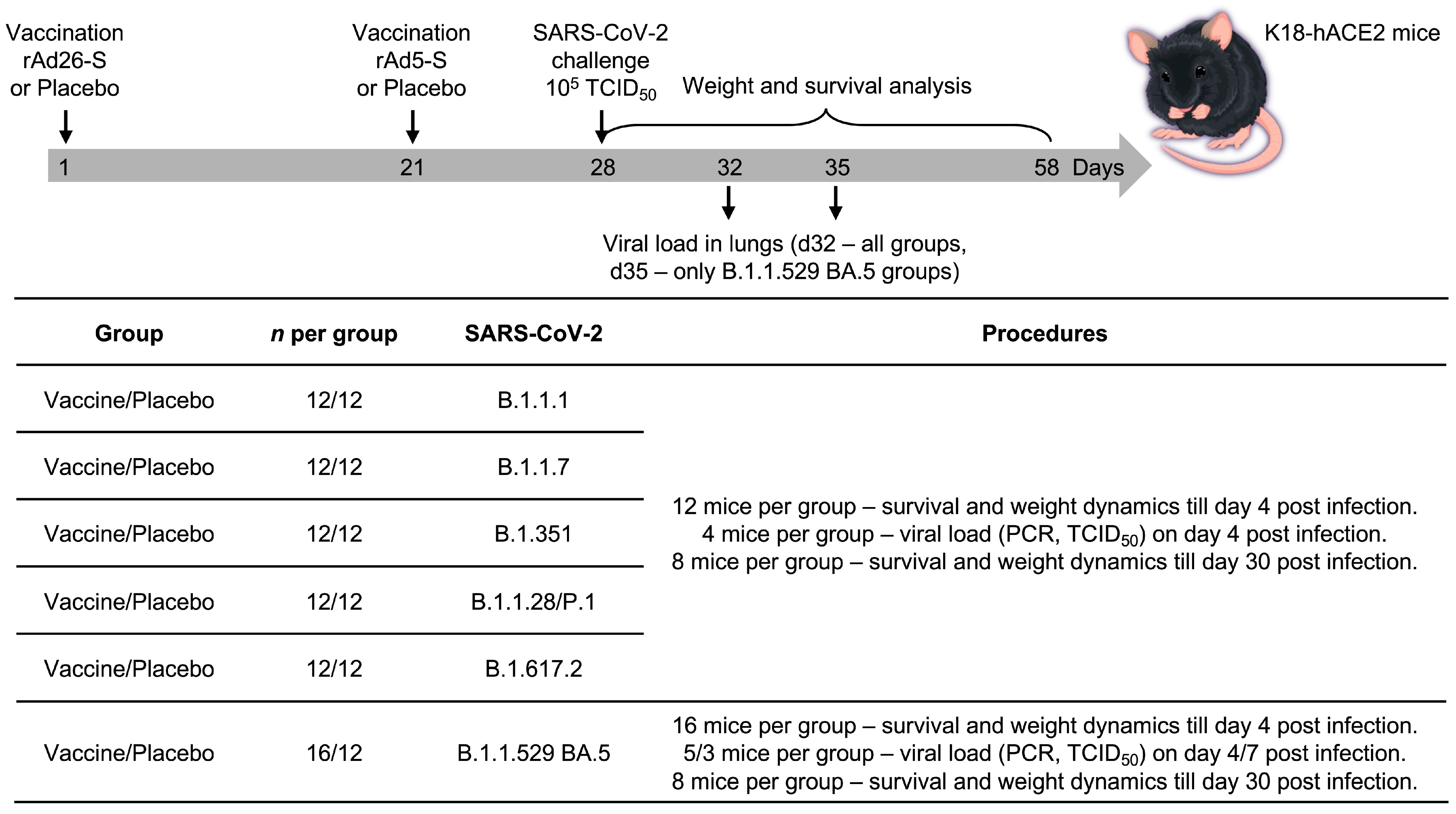 Vaccines 12 01152 g002
