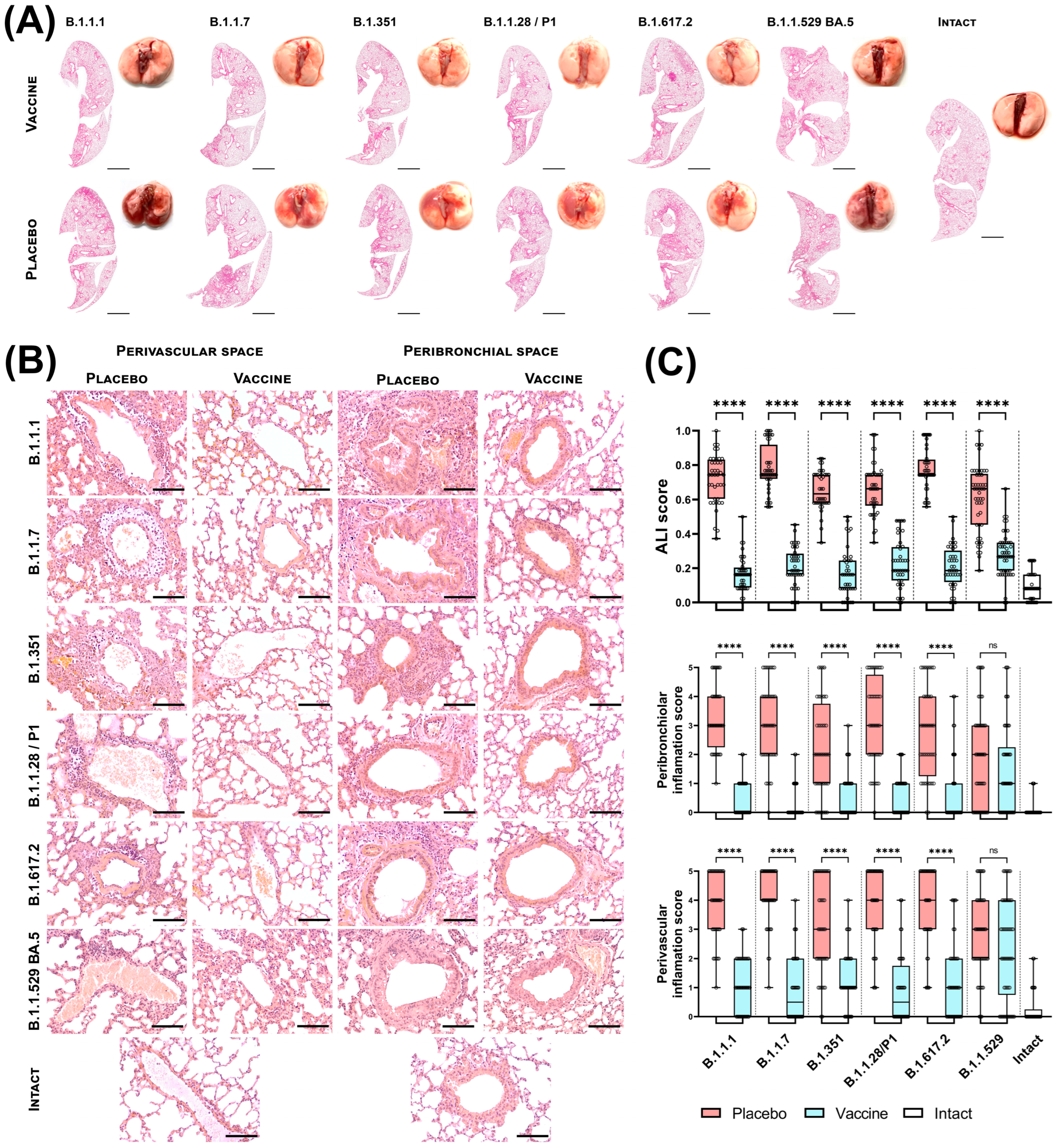 Vaccines 12 01152 g003