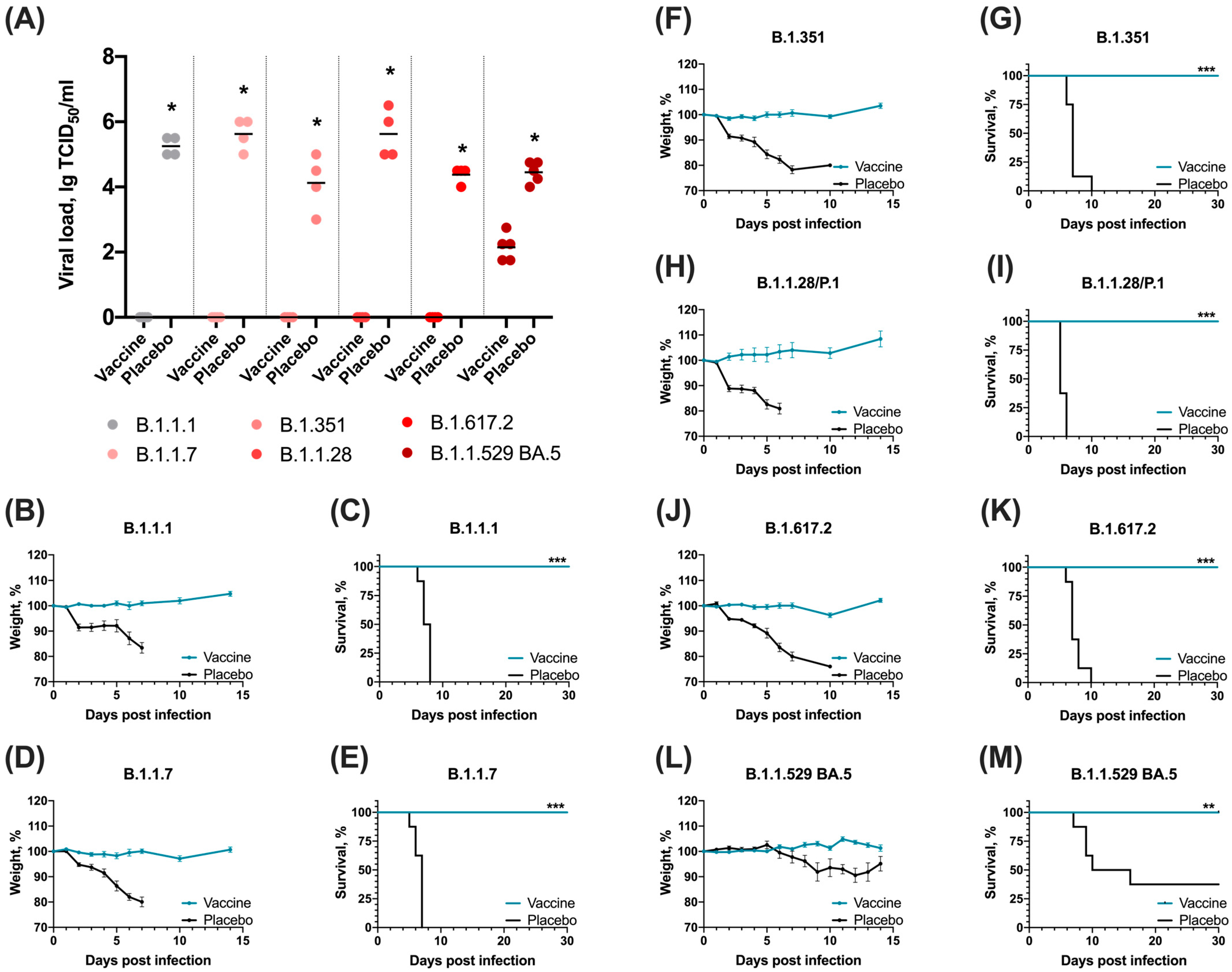 Vaccines 12 01152 g004
