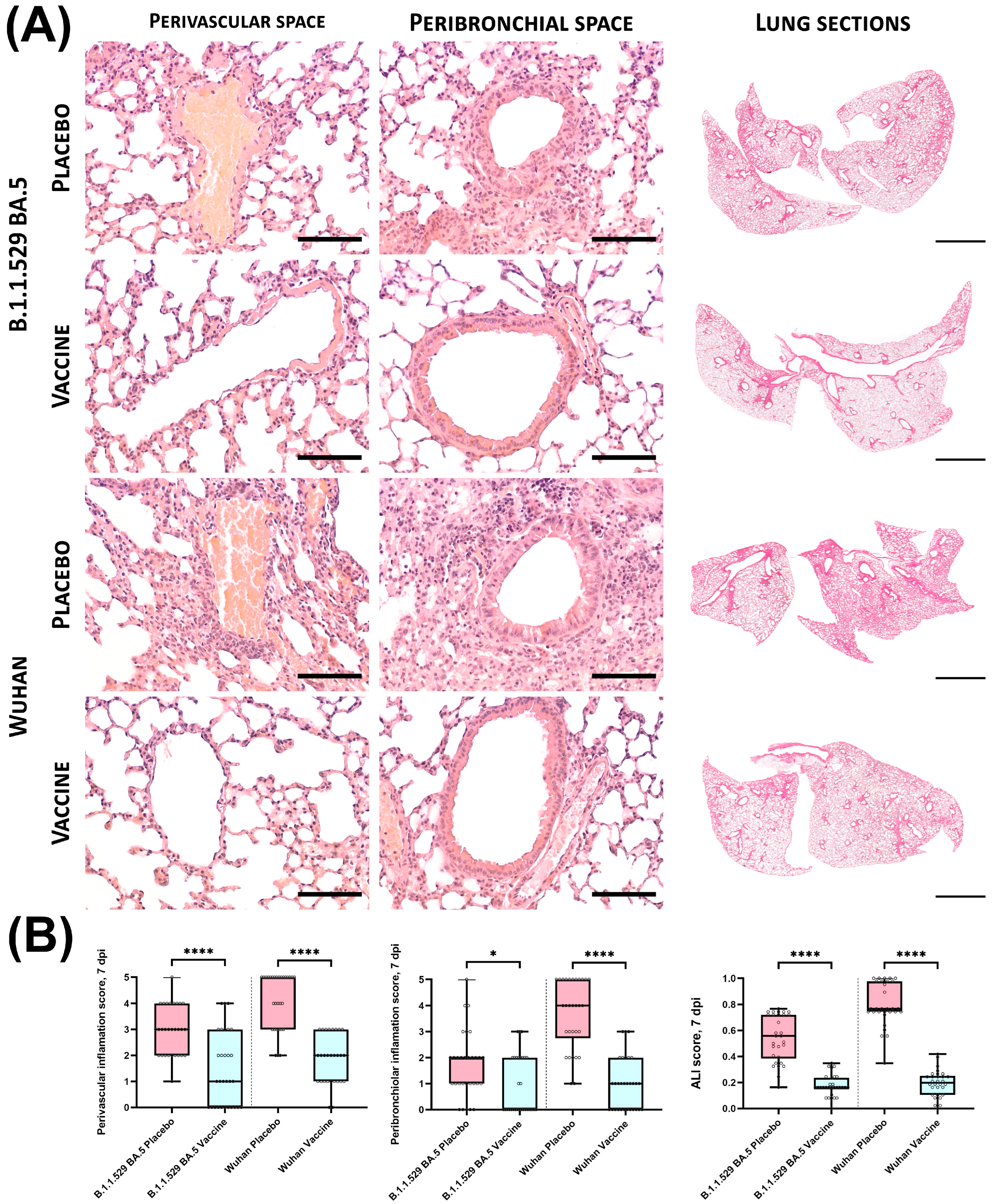Vaccines 12 01152 g0a1