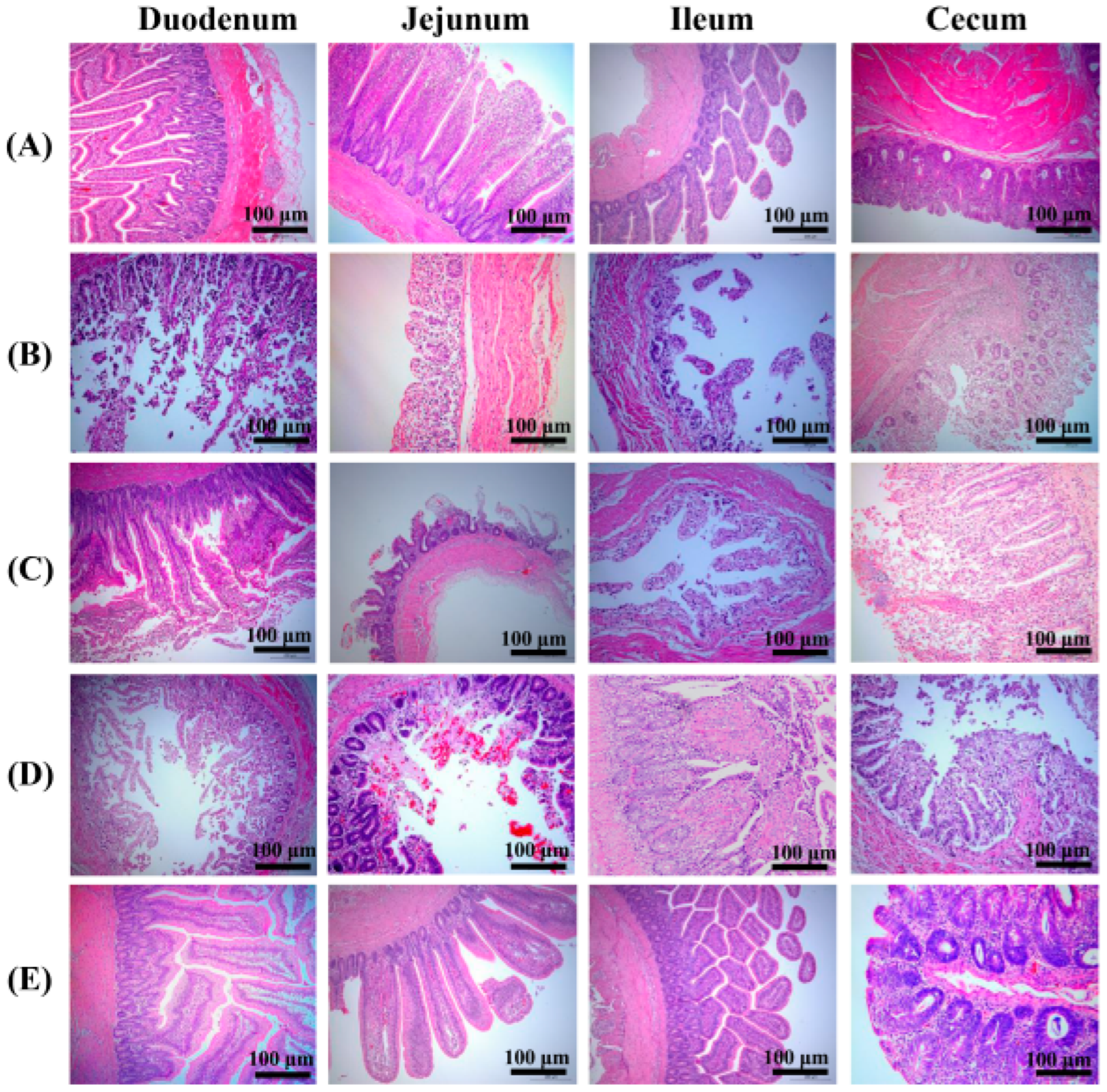 Vaccines 12 01158 g008
