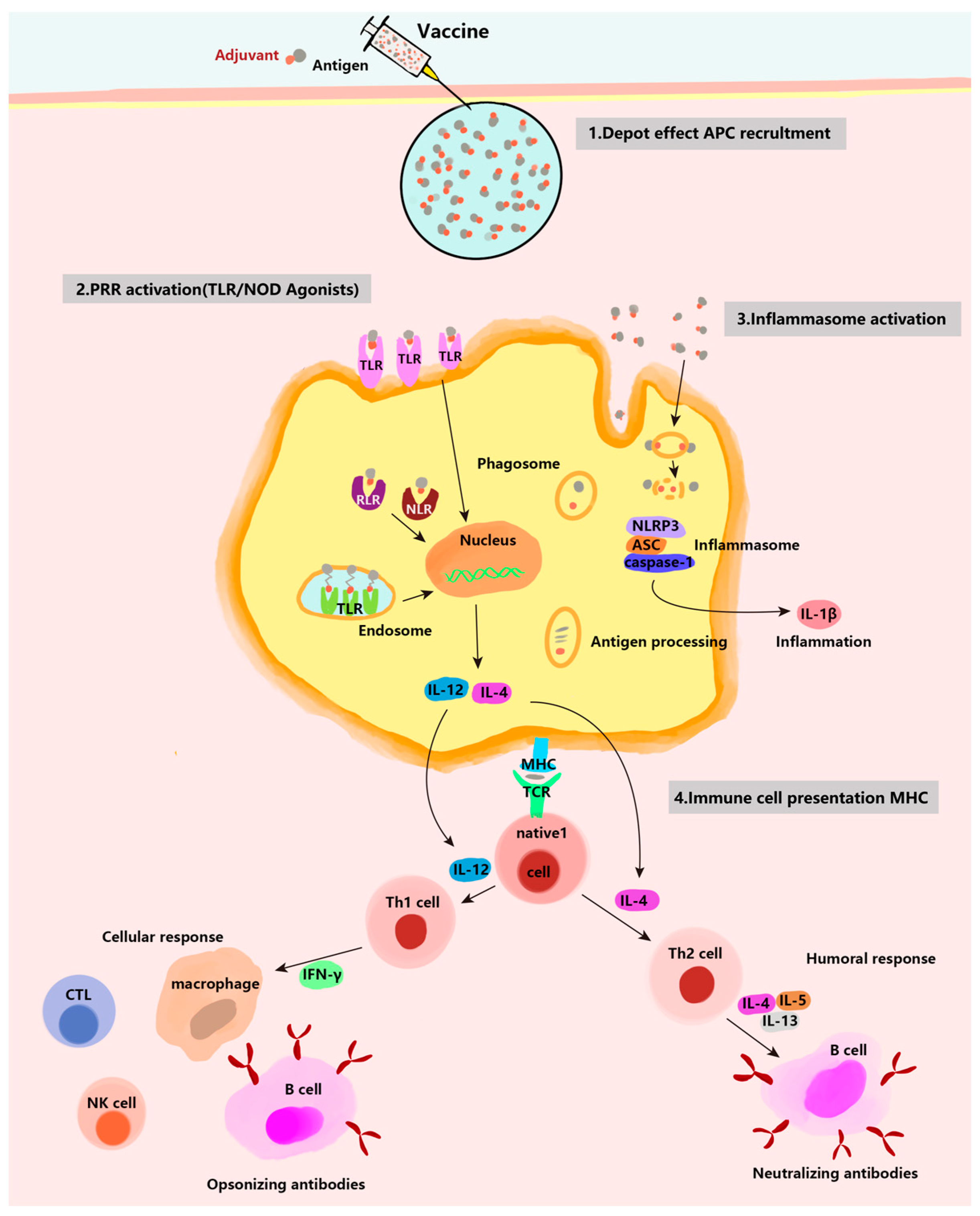 Vaccines 12 01187 g002
