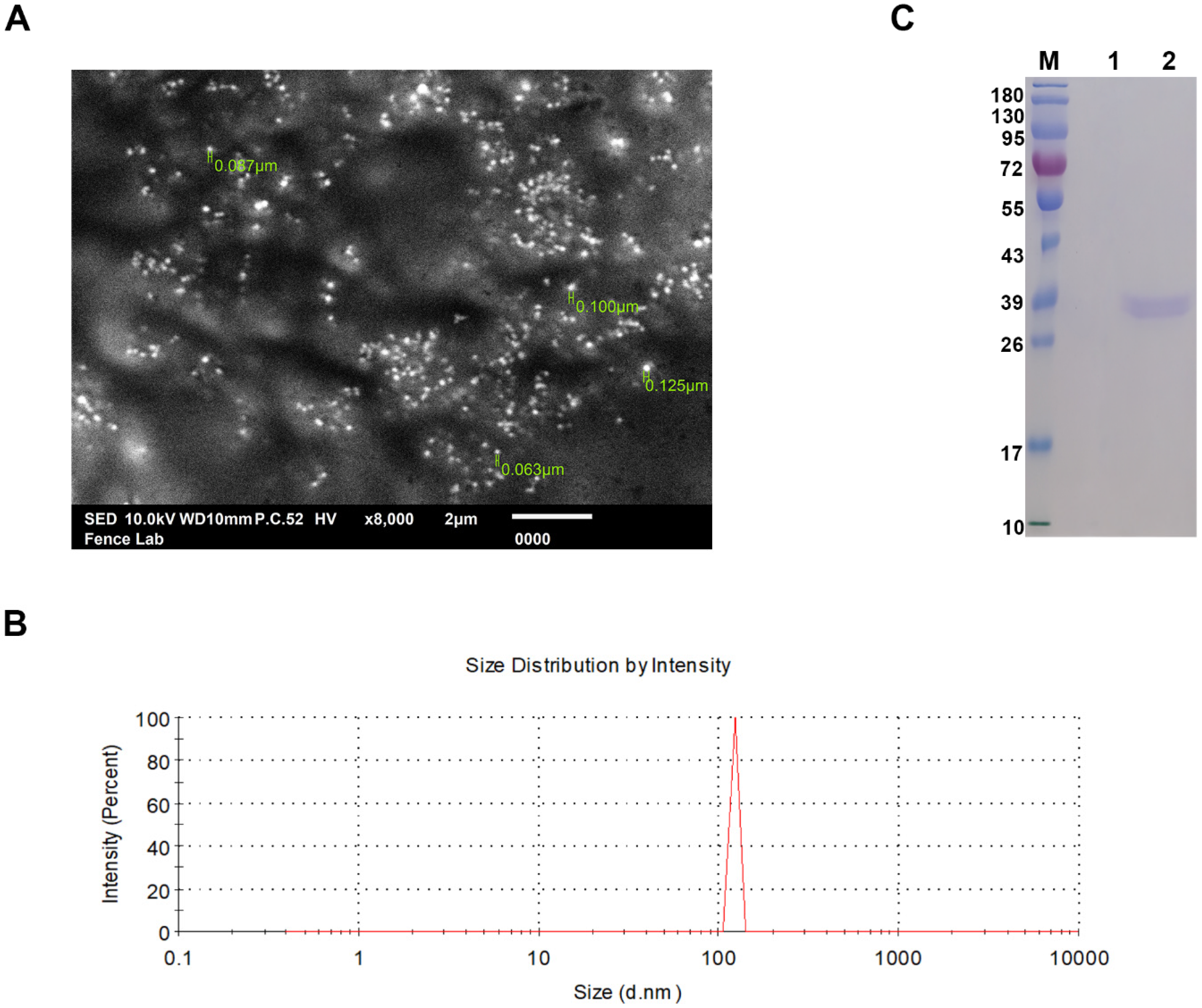 Vaccines 12 01188 g001