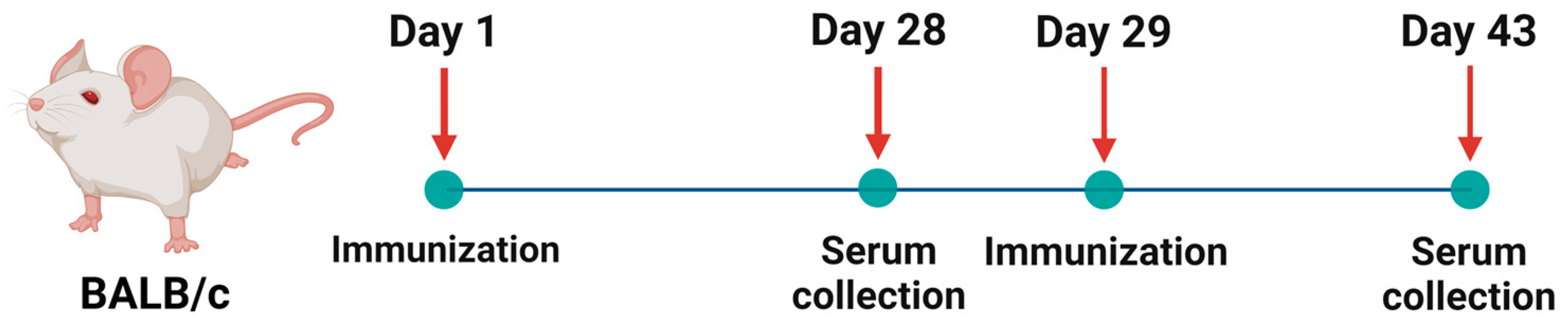 Vaccines 12 01200 g002