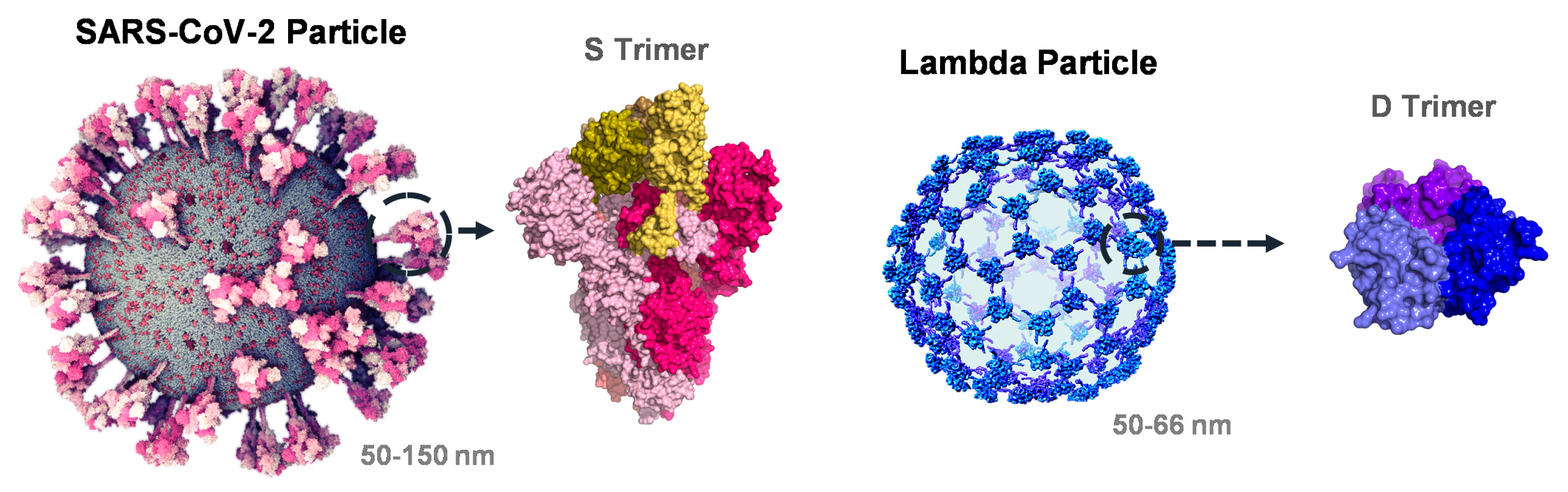 Vaccines 12 01201 g001