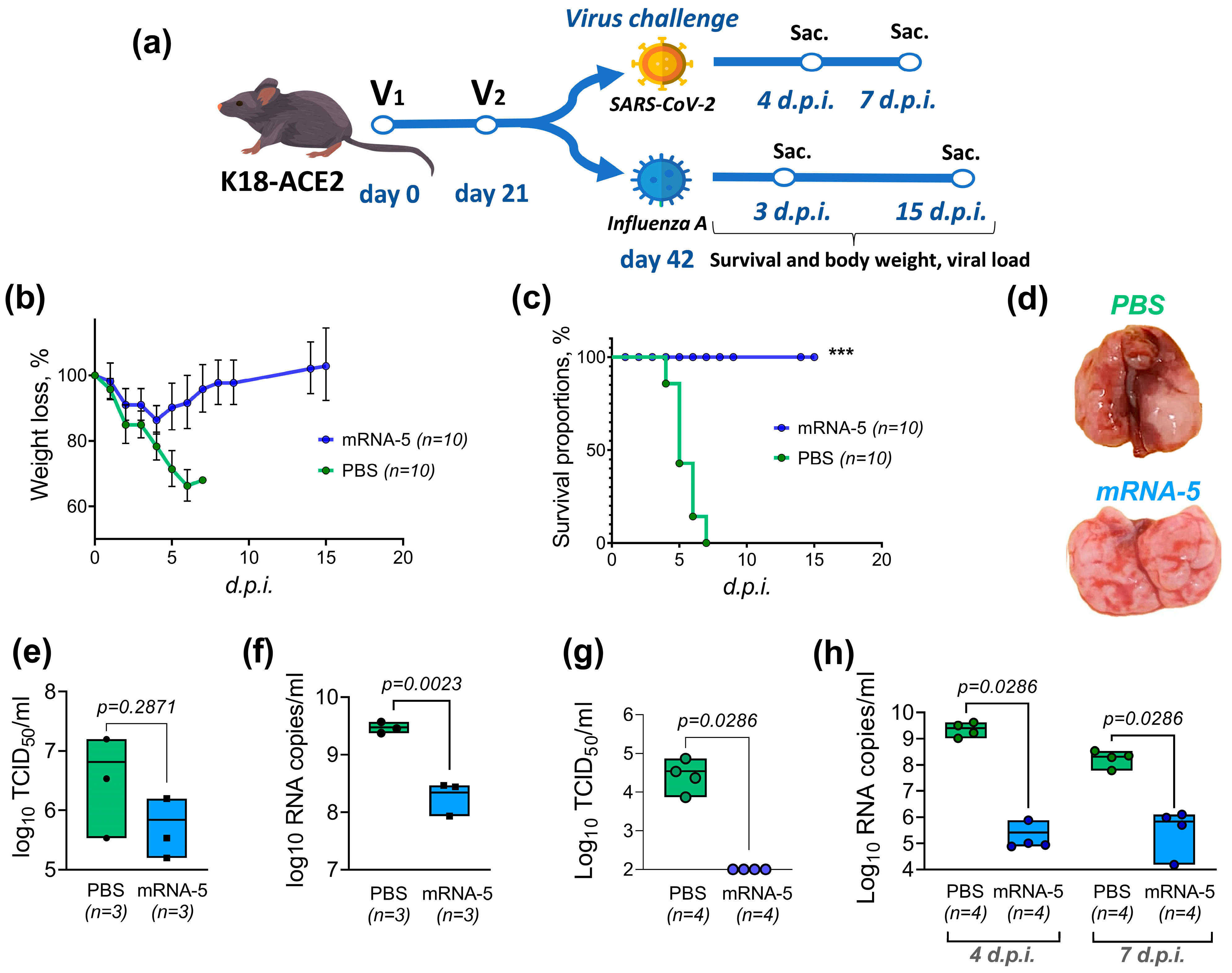 Vaccines 12 01206 g003