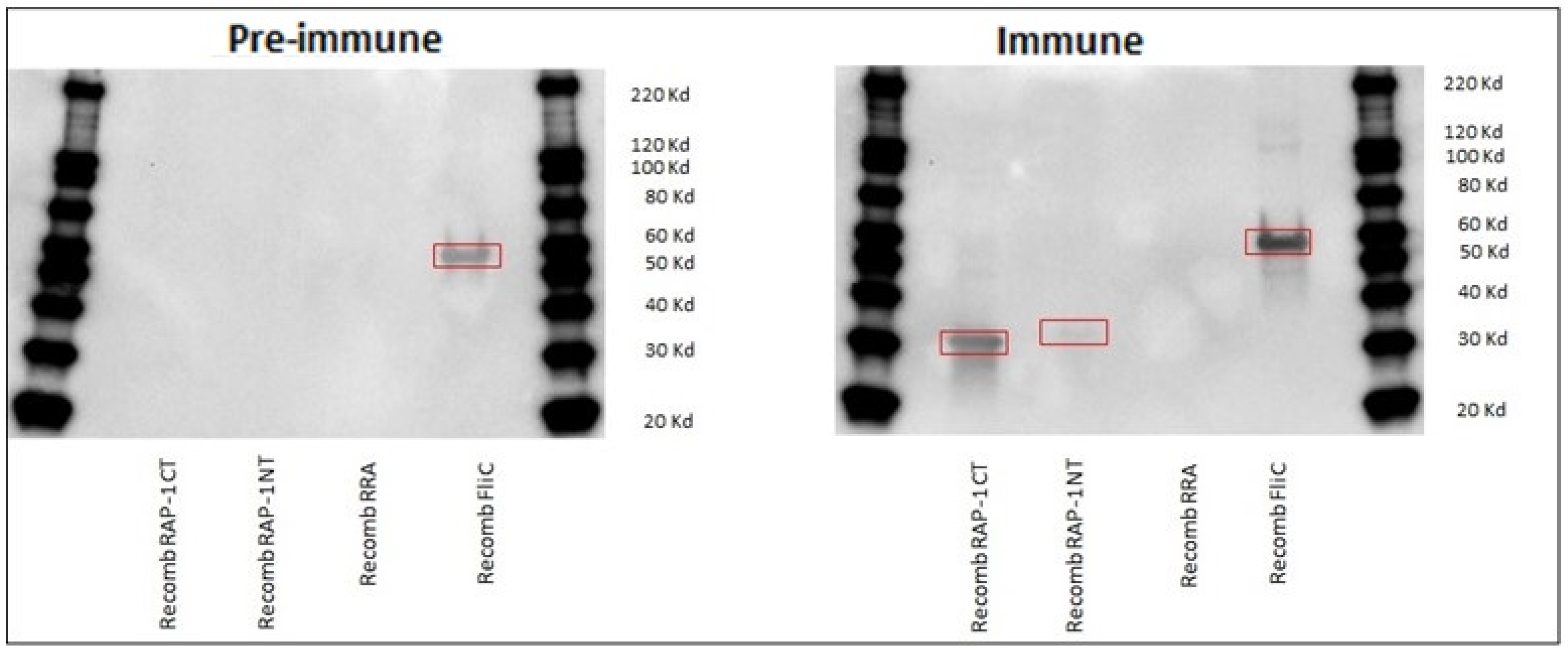 Vaccines 12 01215 g002