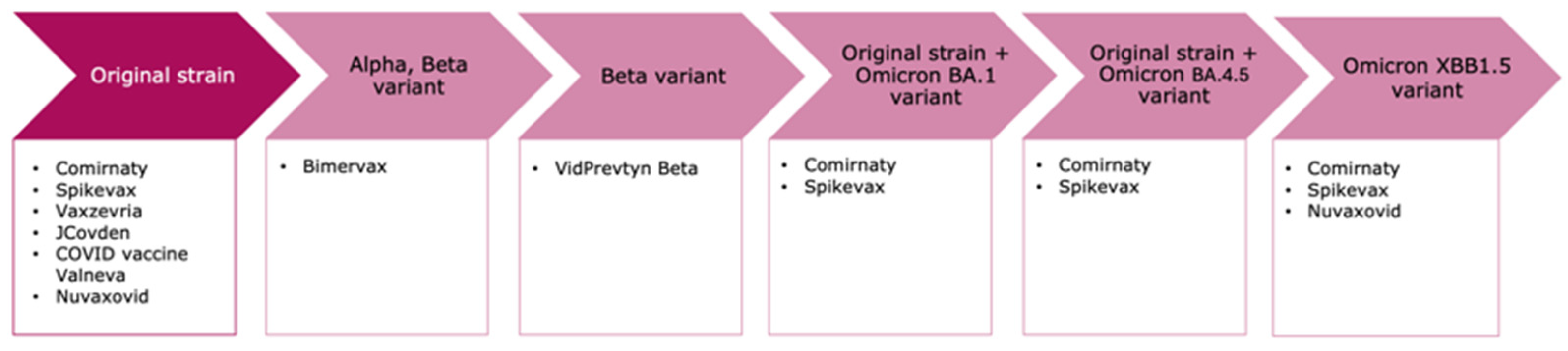 Vaccines 12 01234 g001