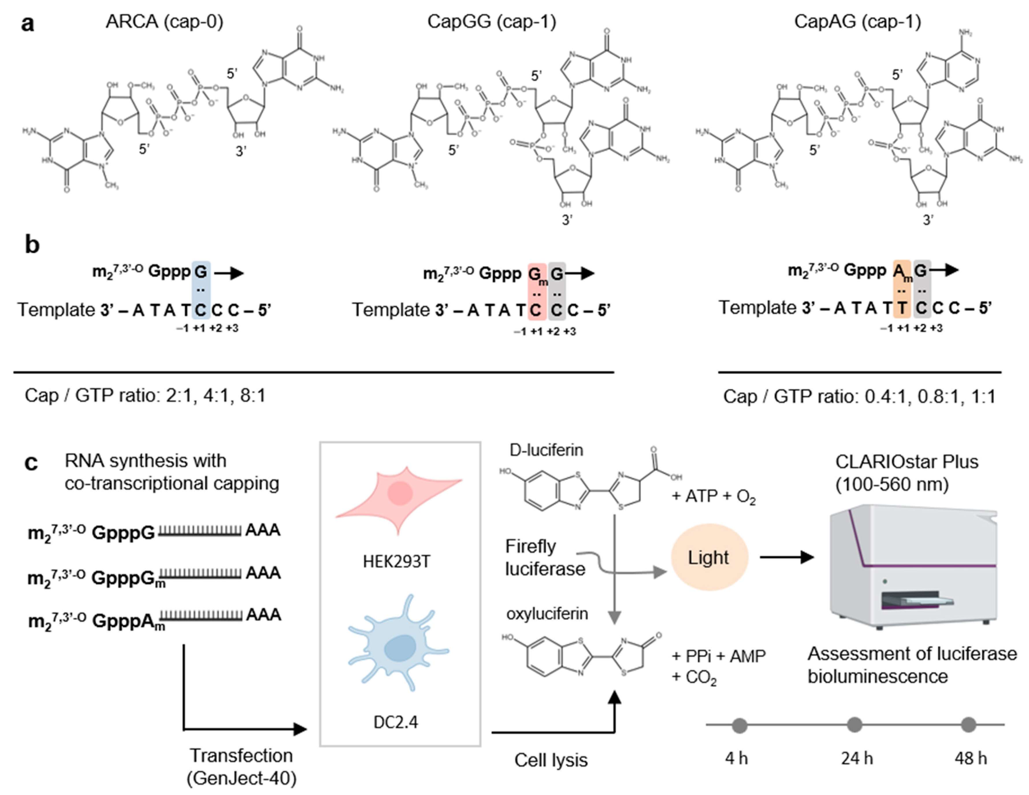 Vaccines 12 01267 g001