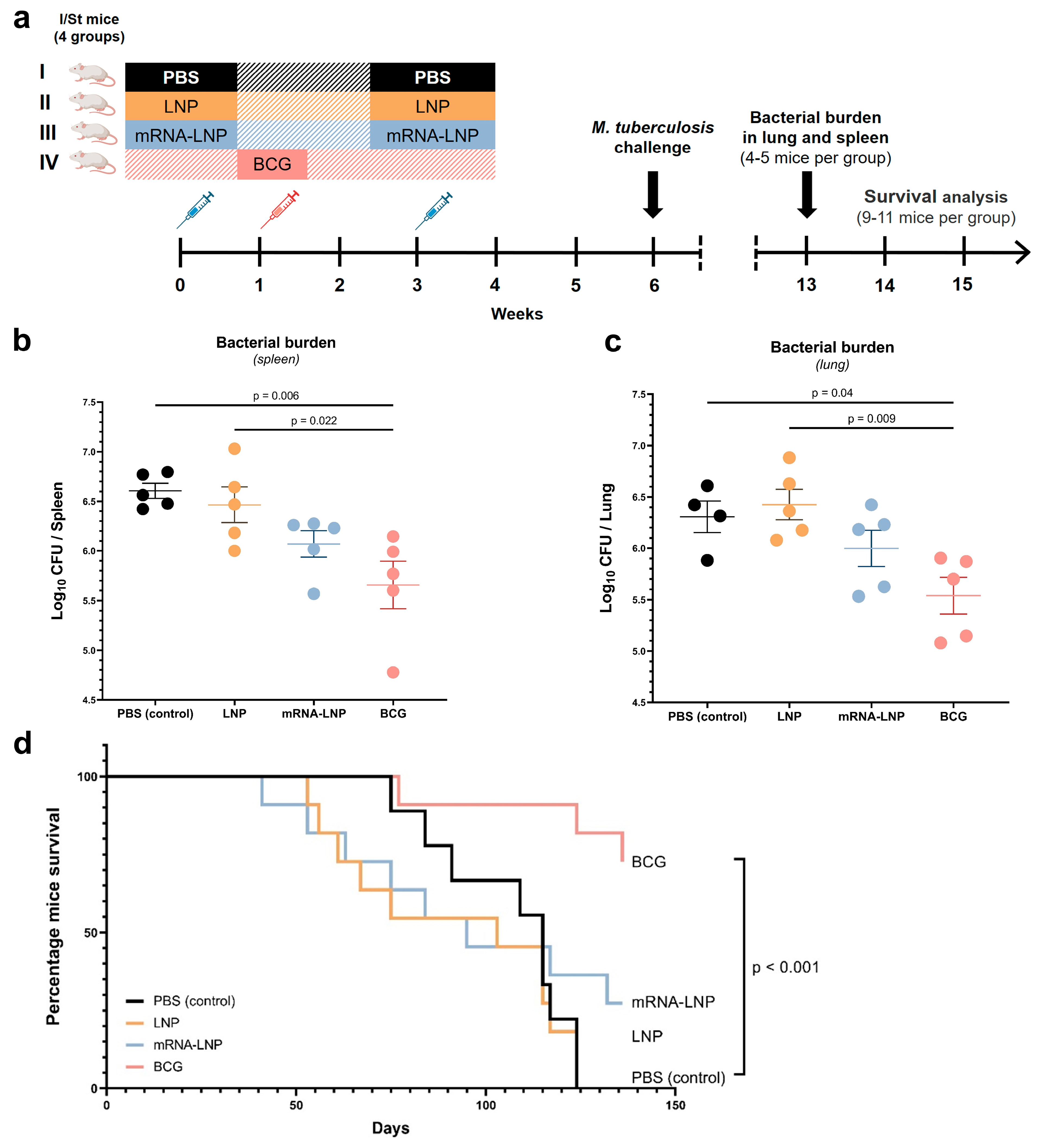 Vaccines 12 01267 g005
