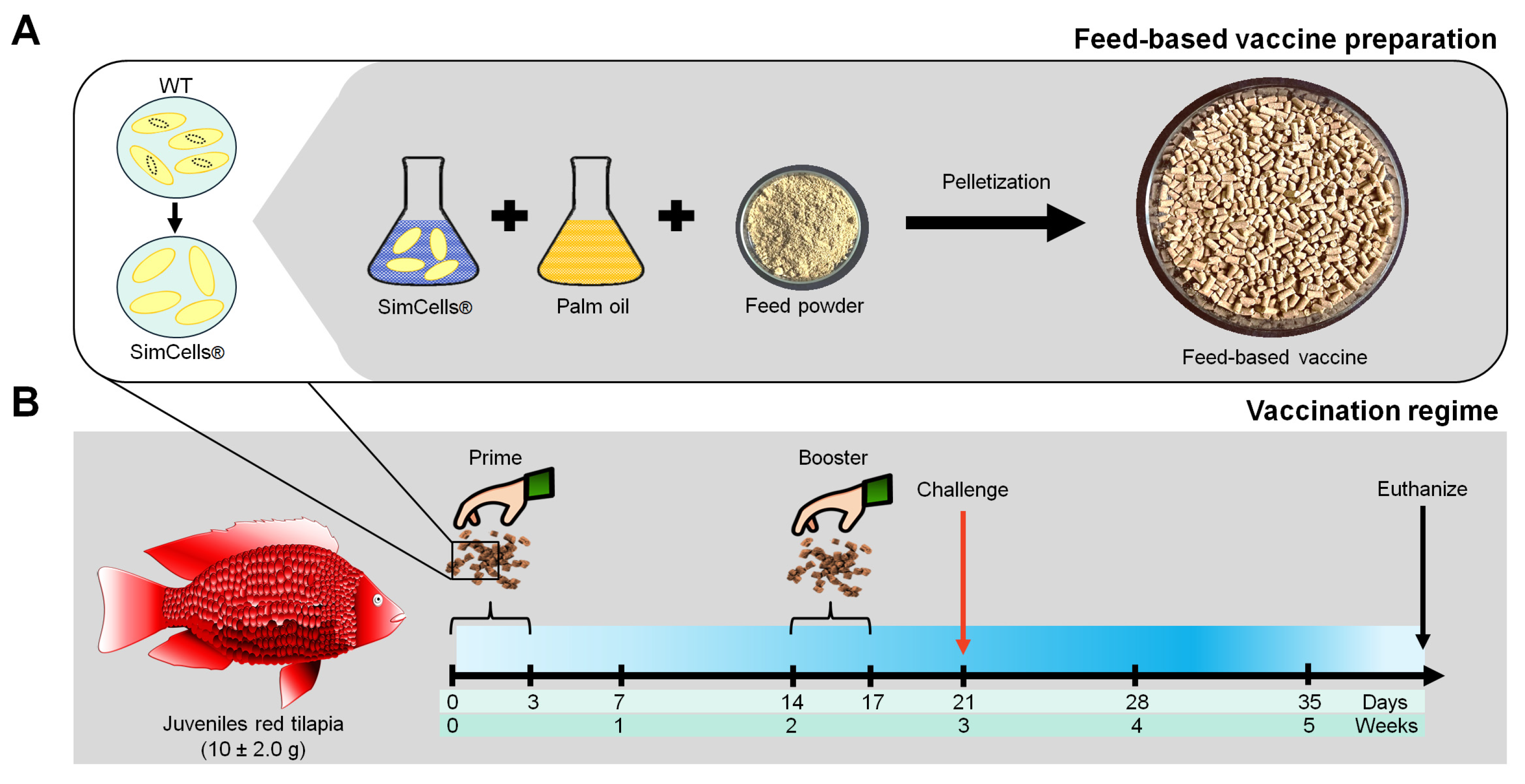 Vaccines 12 01271 g001