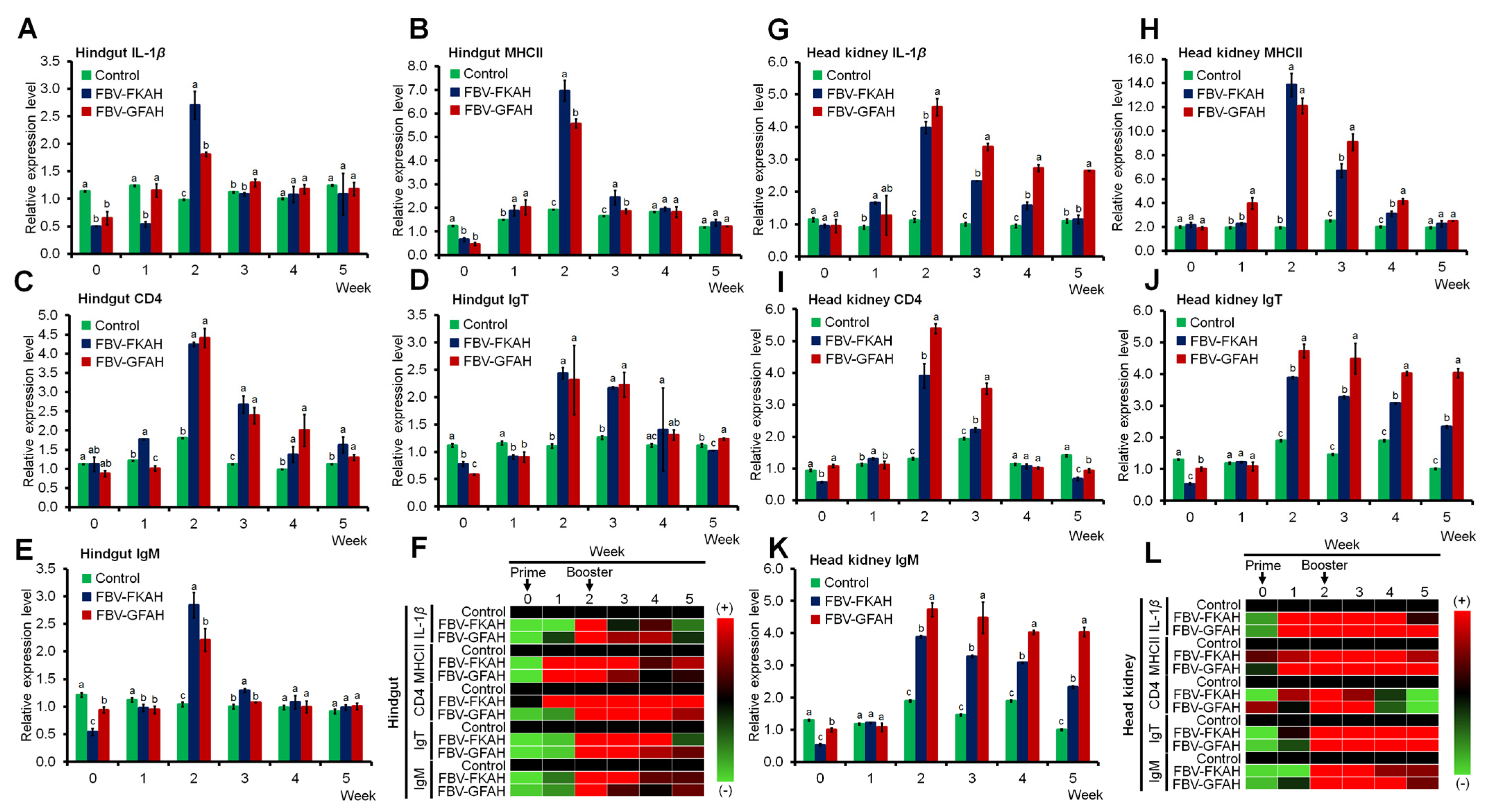 Vaccines 12 01271 g004