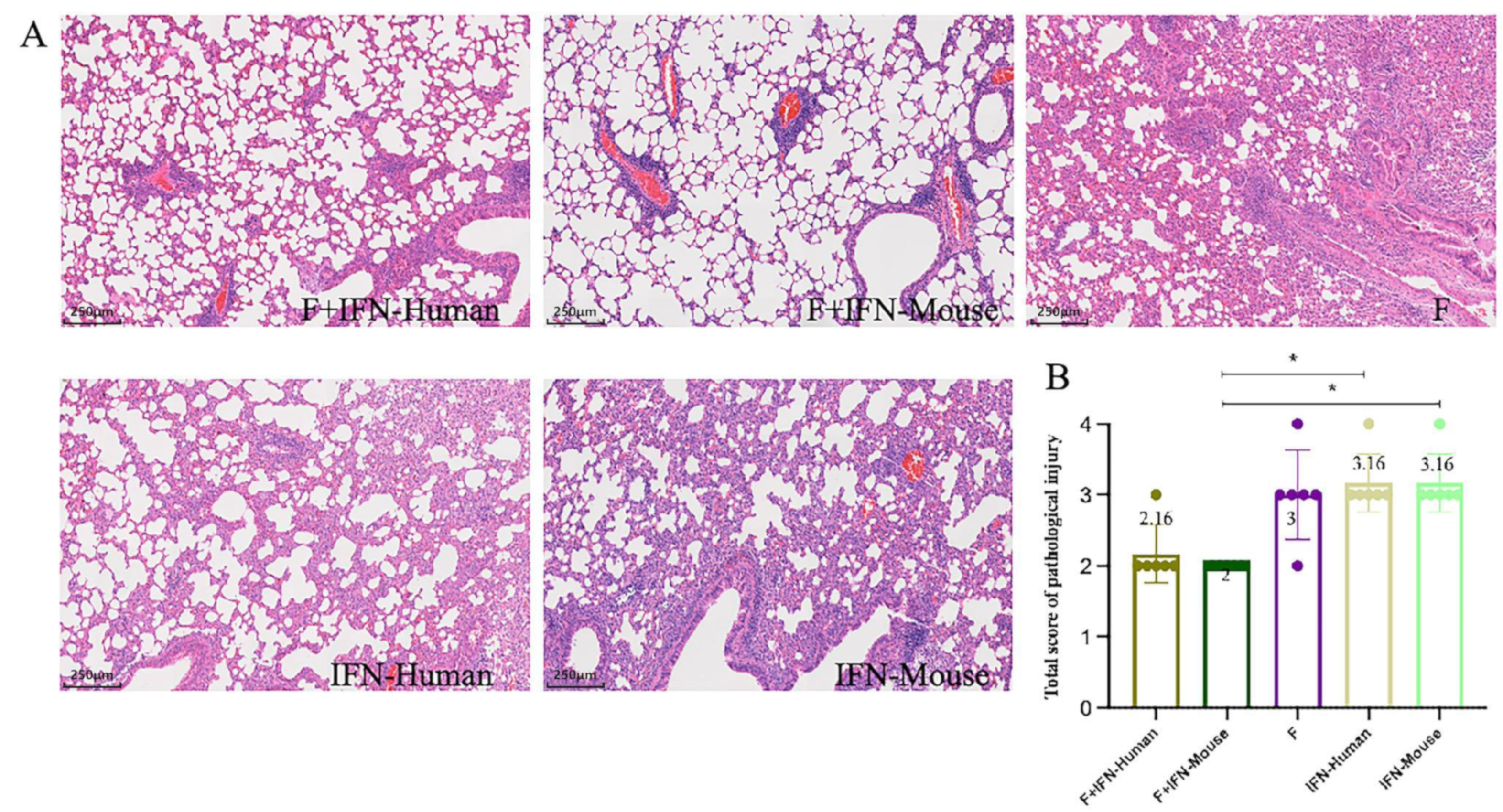 Vaccines 12 01297 g005