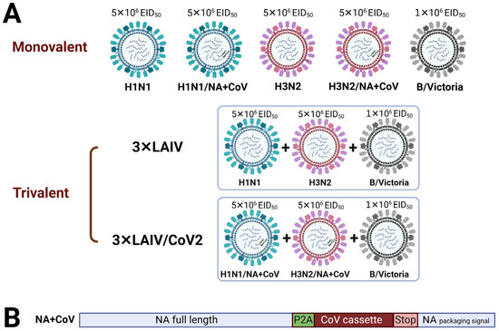 Vaccines 12 01300 g001