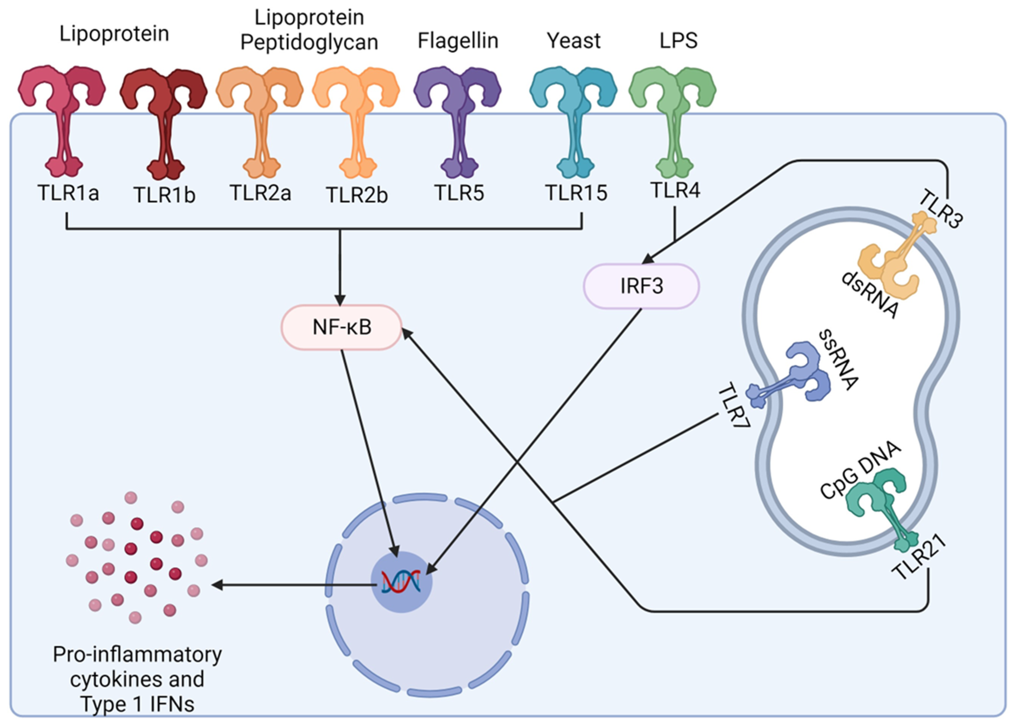 Vaccines 12 01337 g003