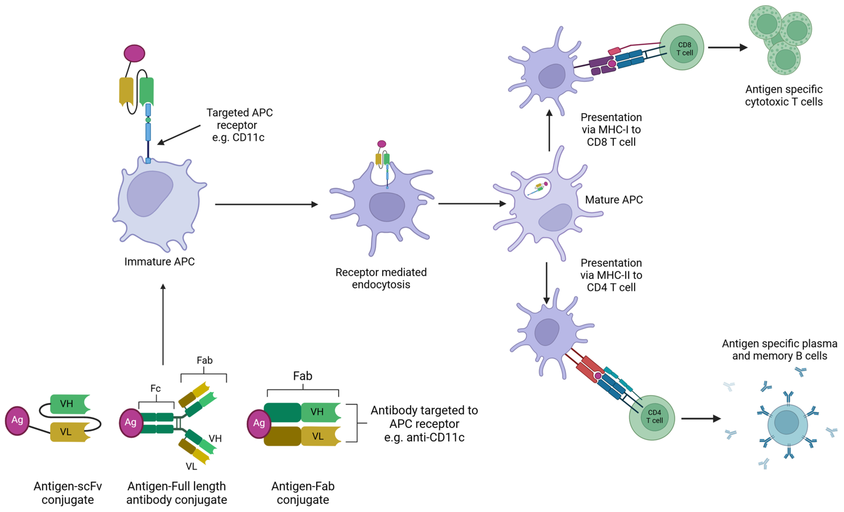 Vaccines 12 01337 g006