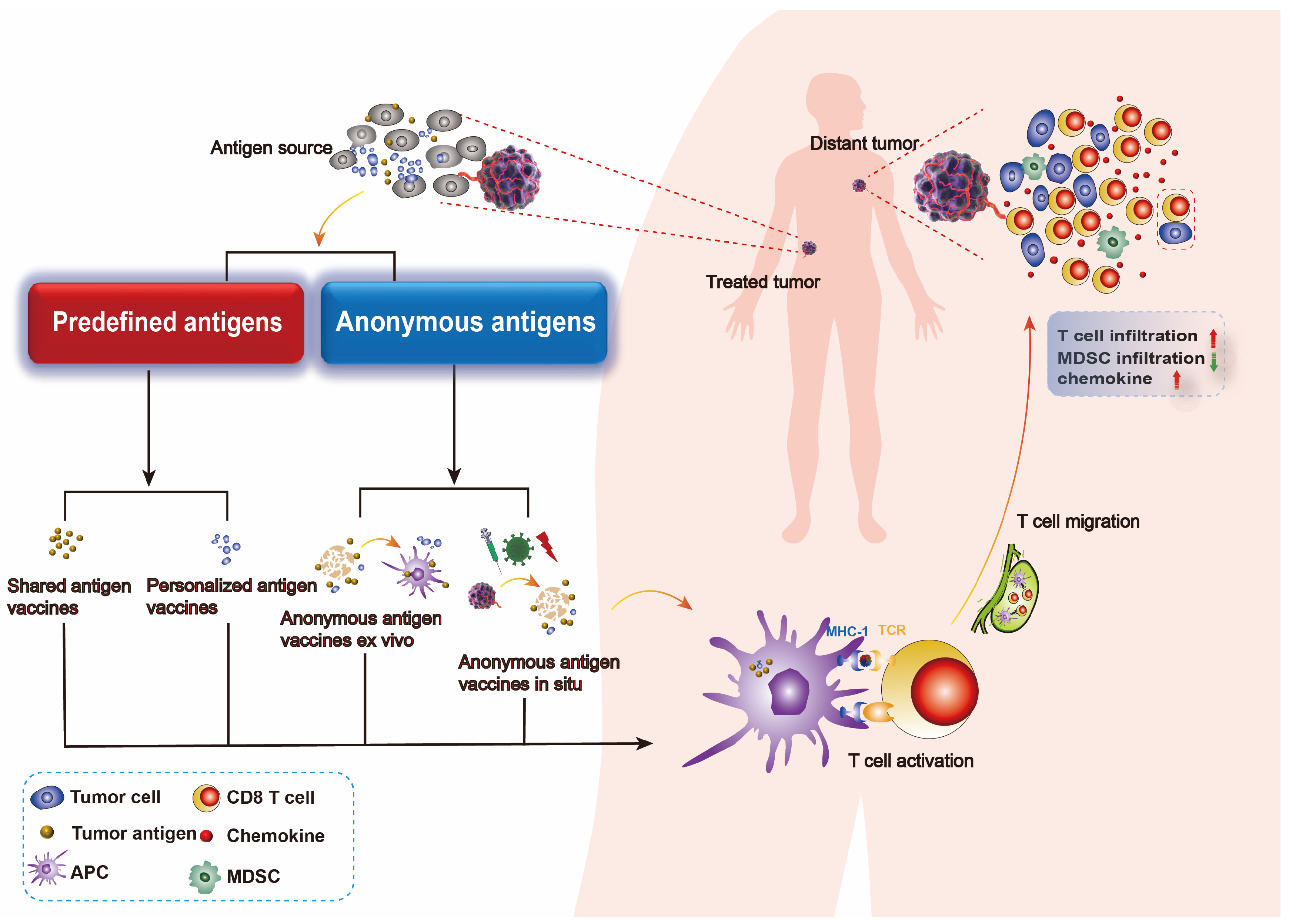 Vaccines 12 01341 g001