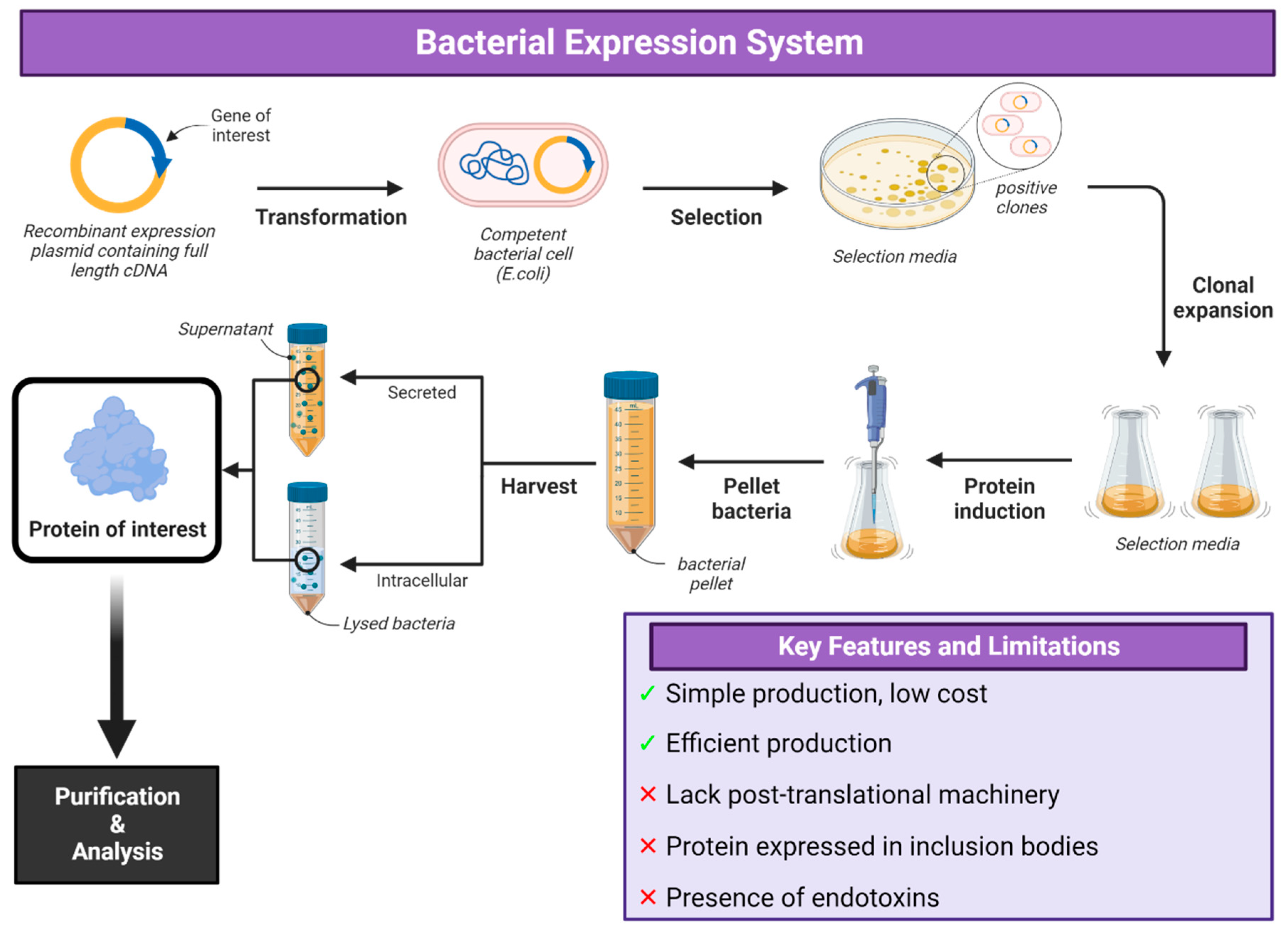Vaccines 12 01344 g002