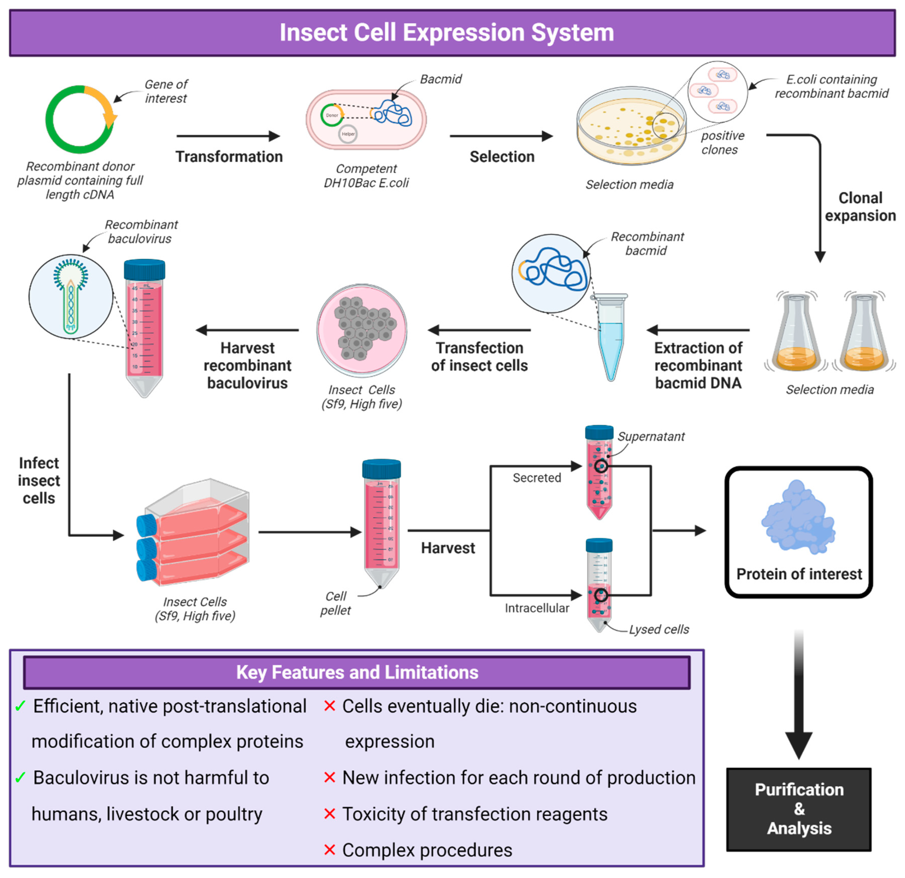 Vaccines 12 01344 g003