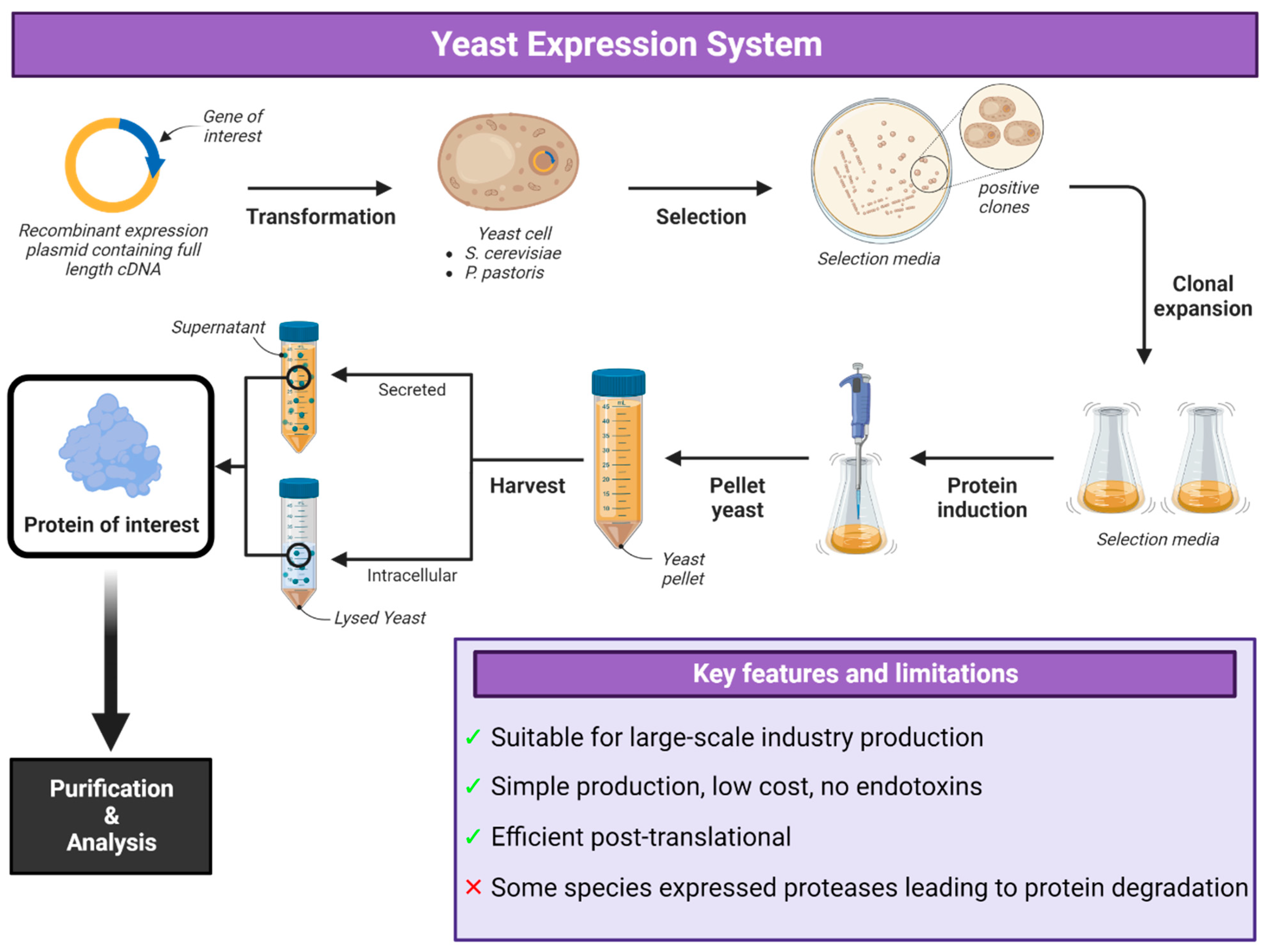 Vaccines 12 01344 g005
