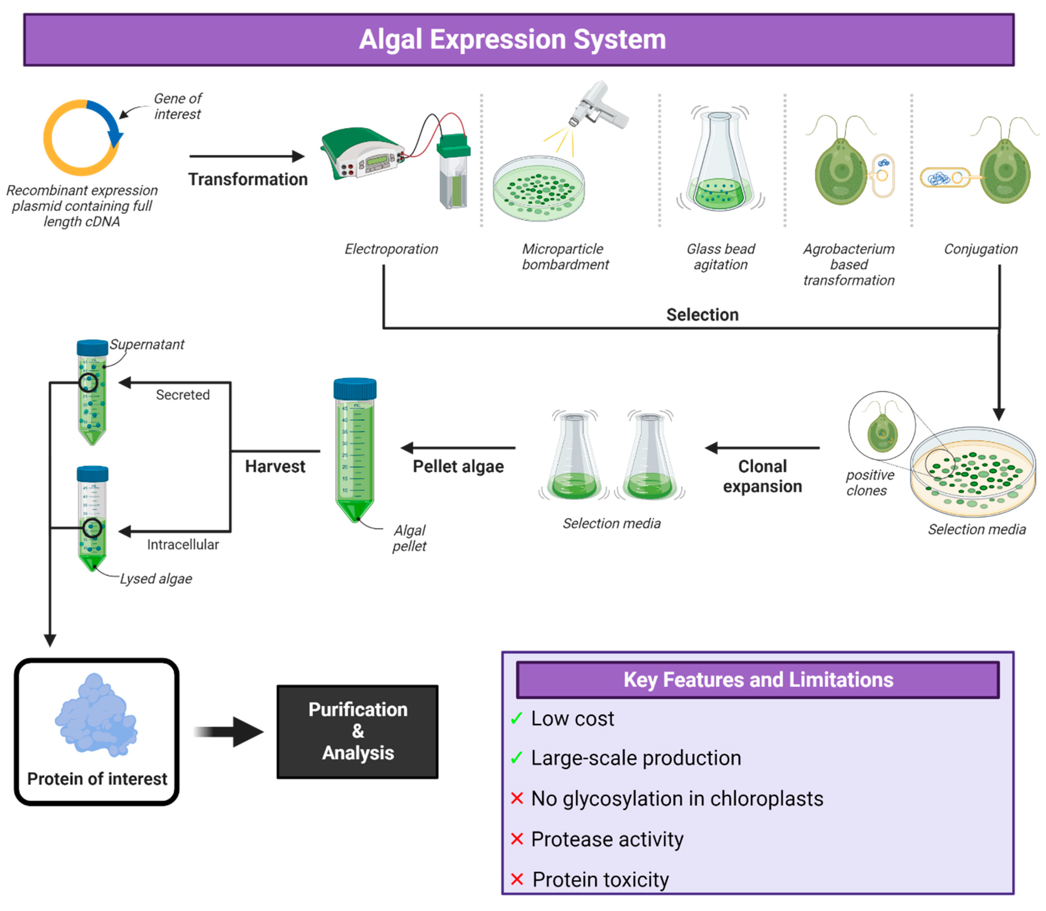 Vaccines 12 01344 g006