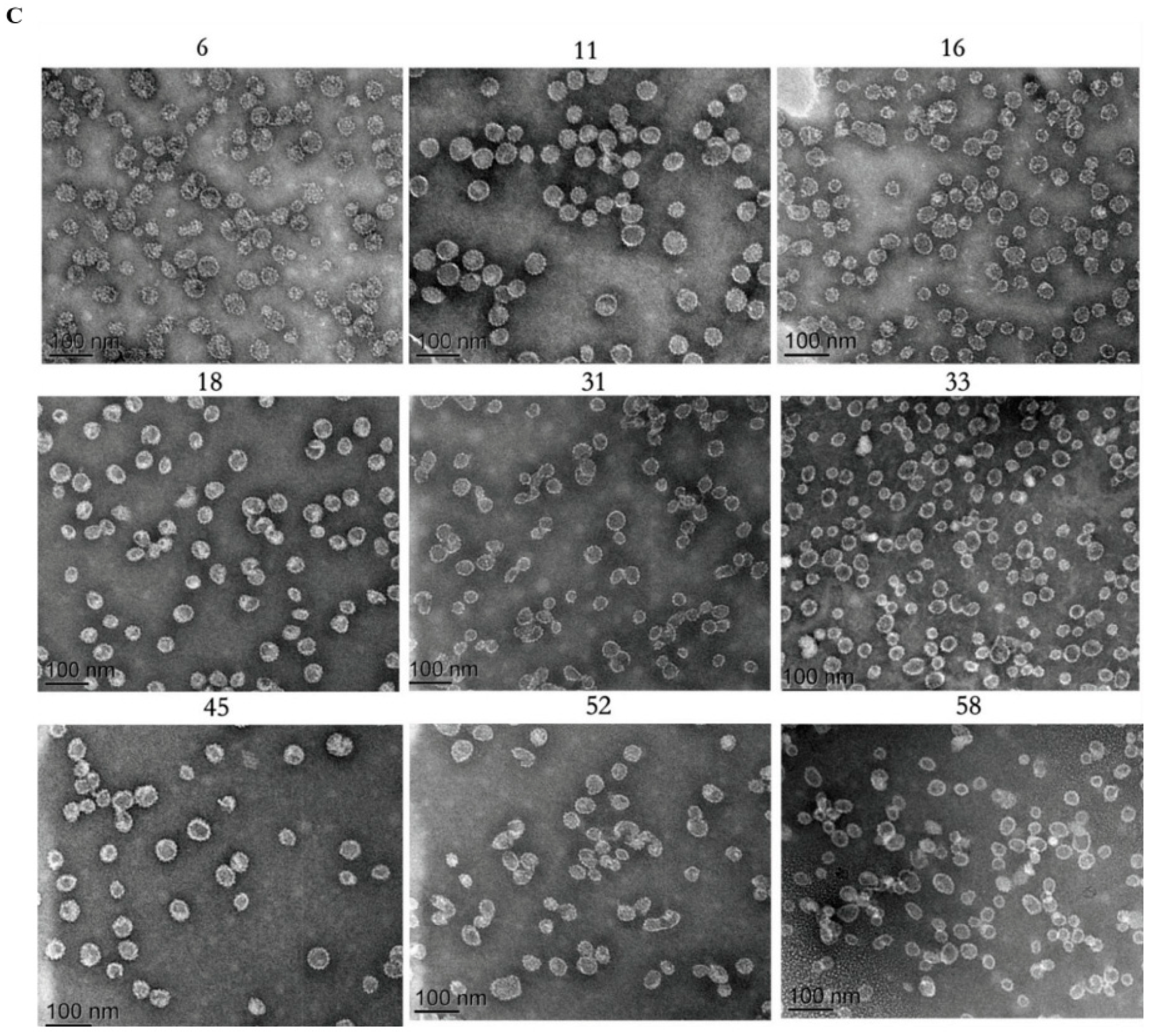 Vaccines 12 01356 g001b