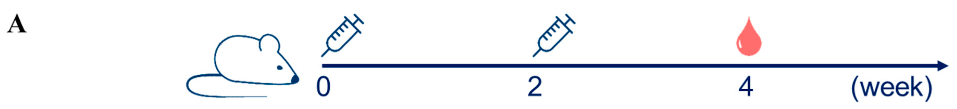 Vaccines 12 01356 g002a