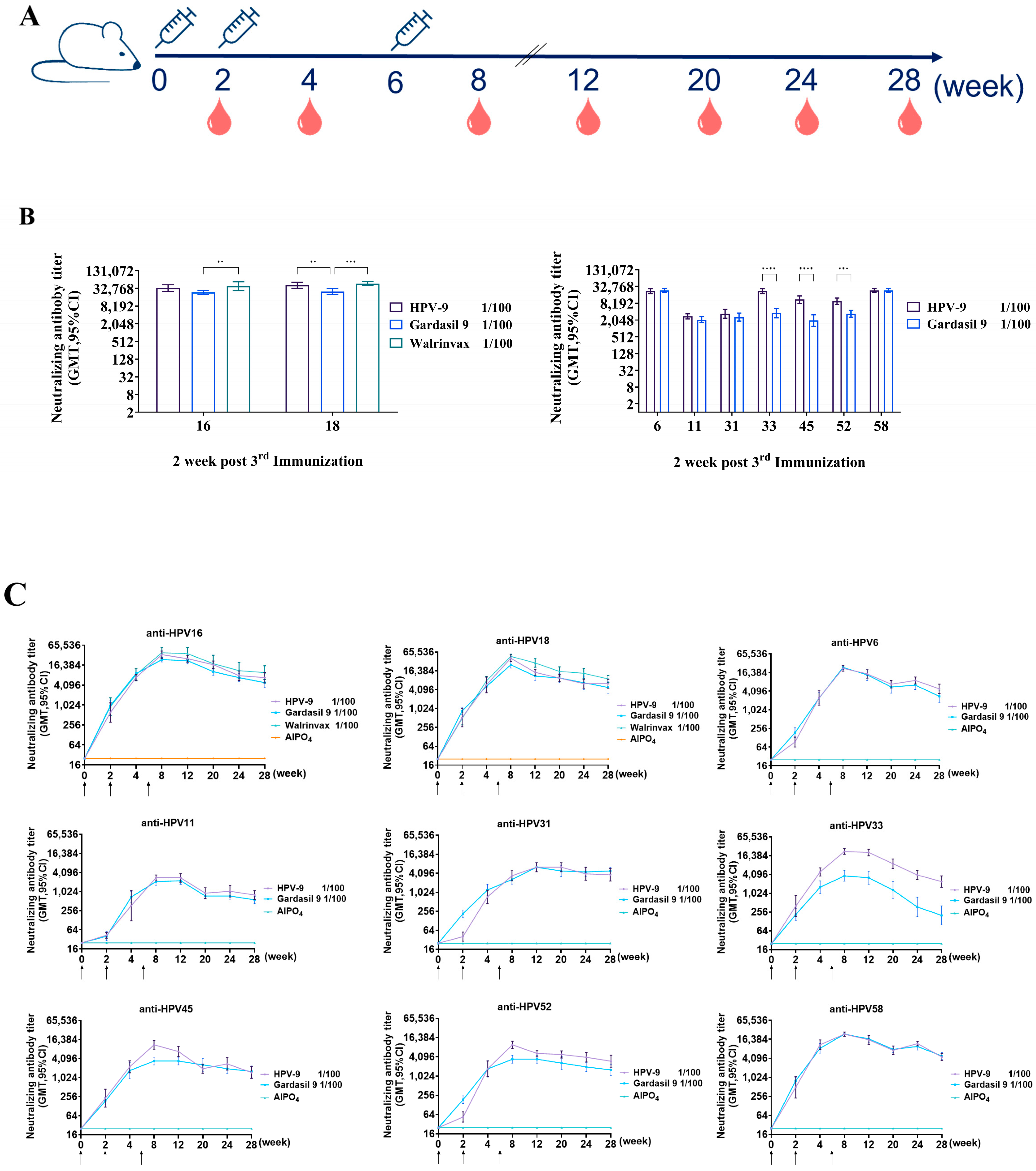 Vaccines 12 01356 g003
