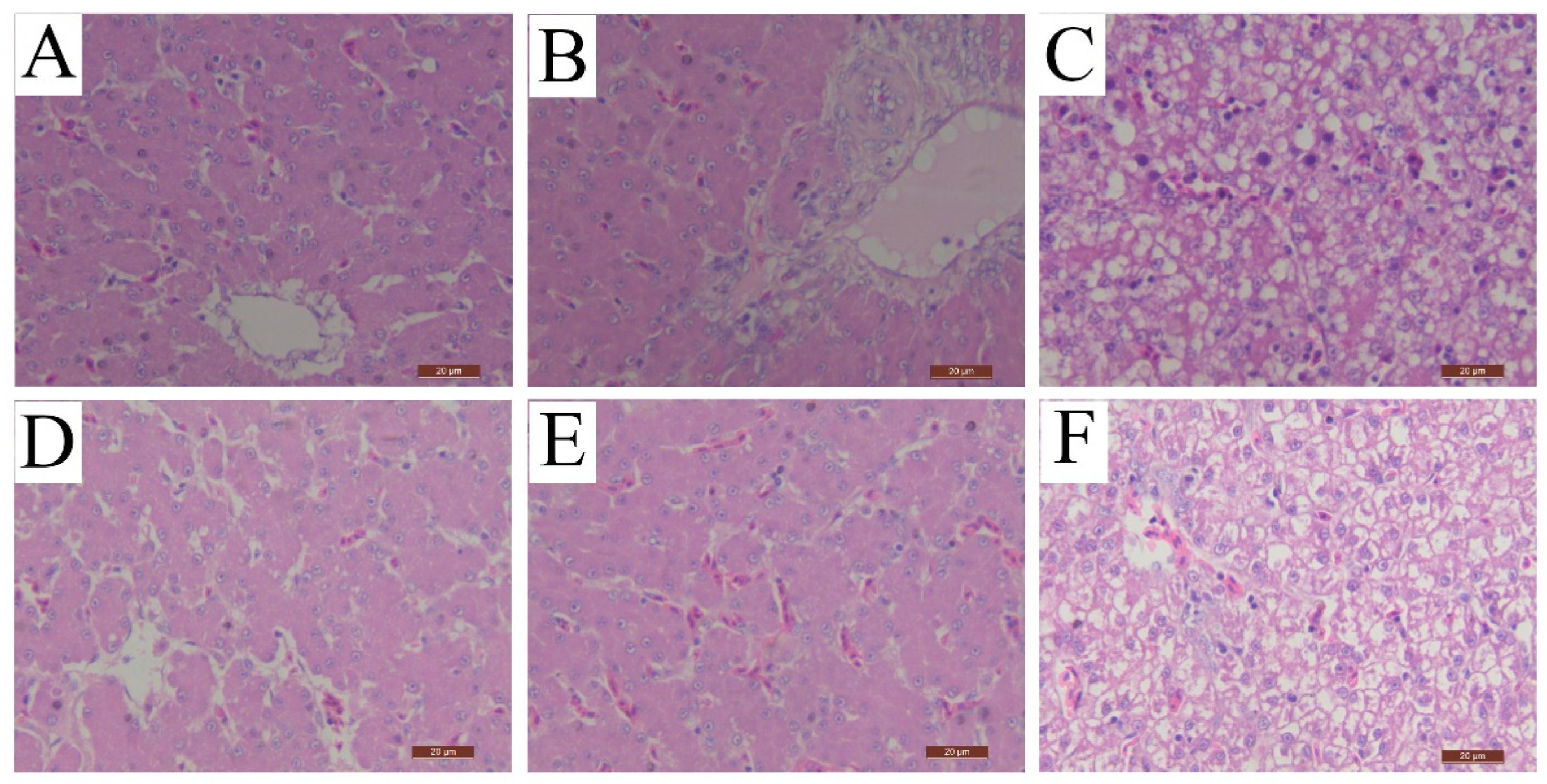 Vaccines 12 01357 g003