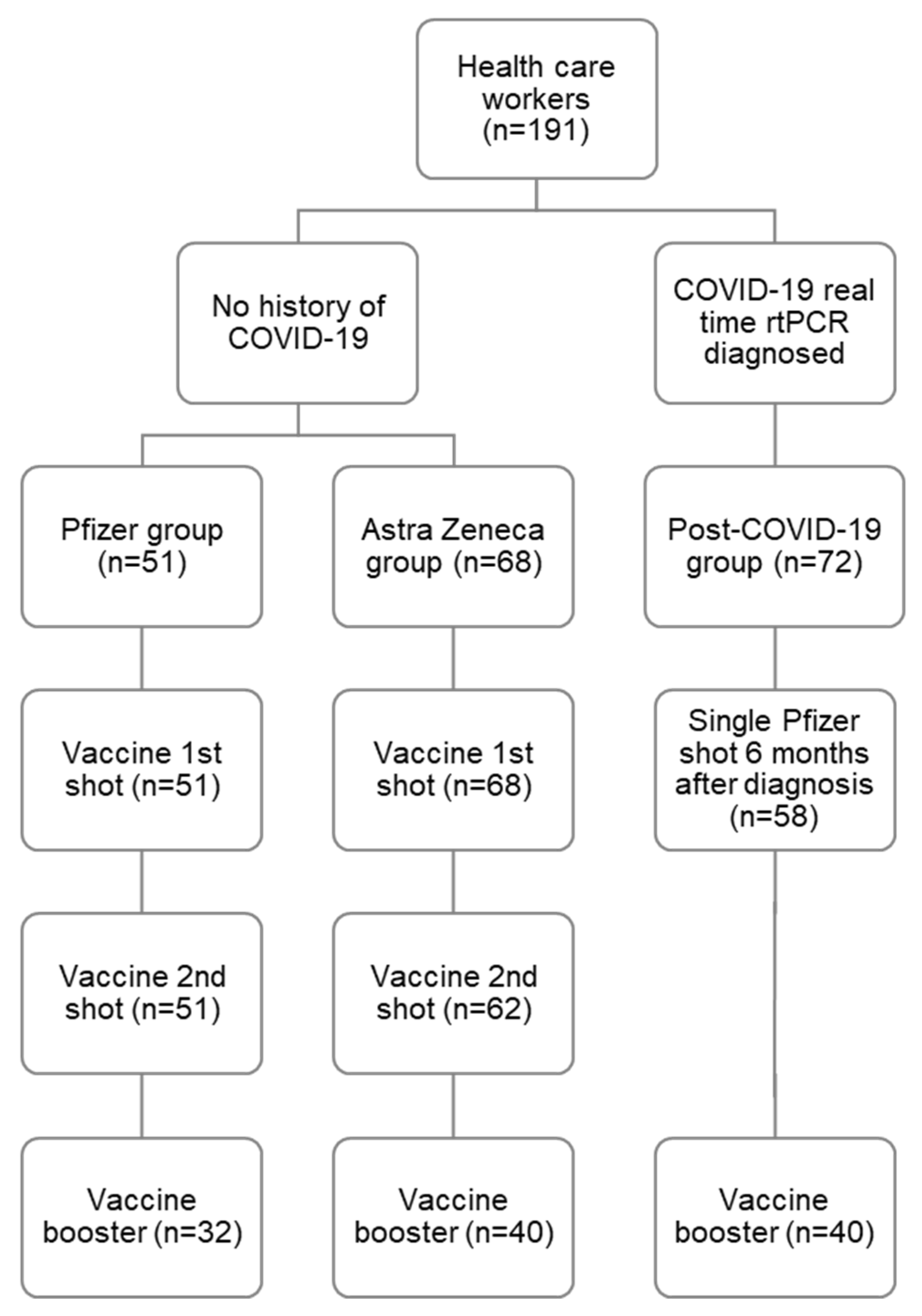 Vaccines 12 01358 g001