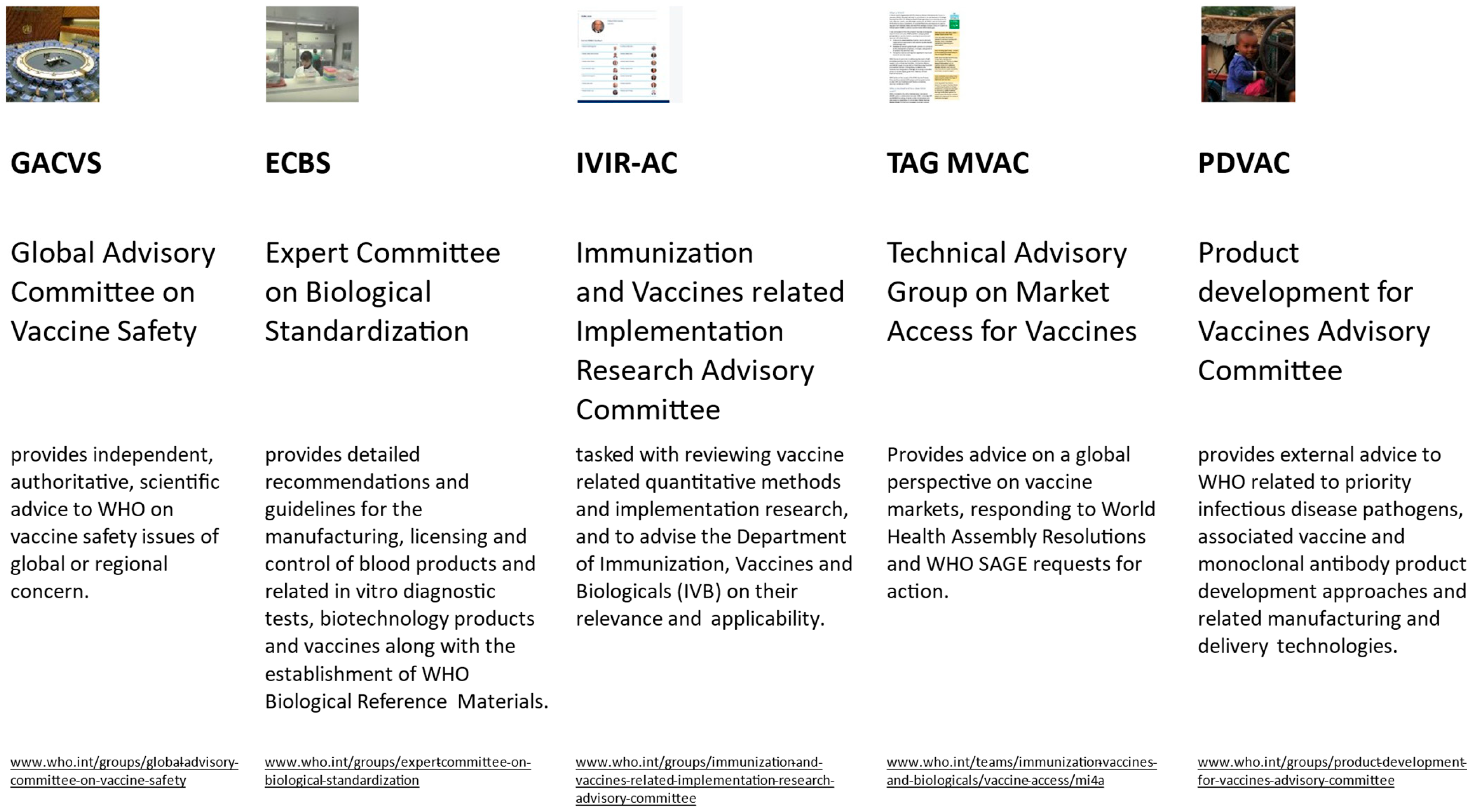 Vaccines 12 01402 g002 Vaccines 12 01402 g002