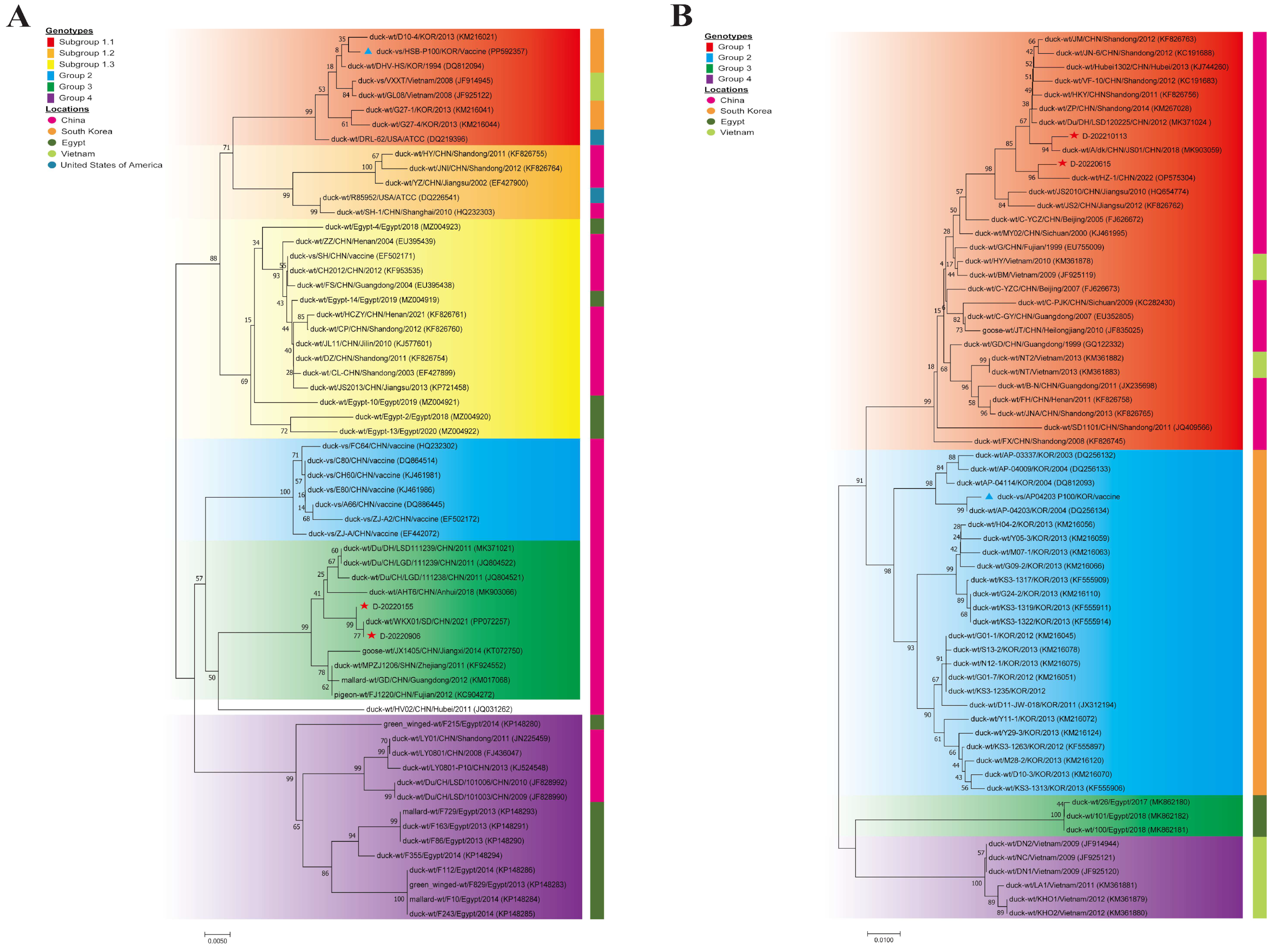 Vaccines 12 01416 g001