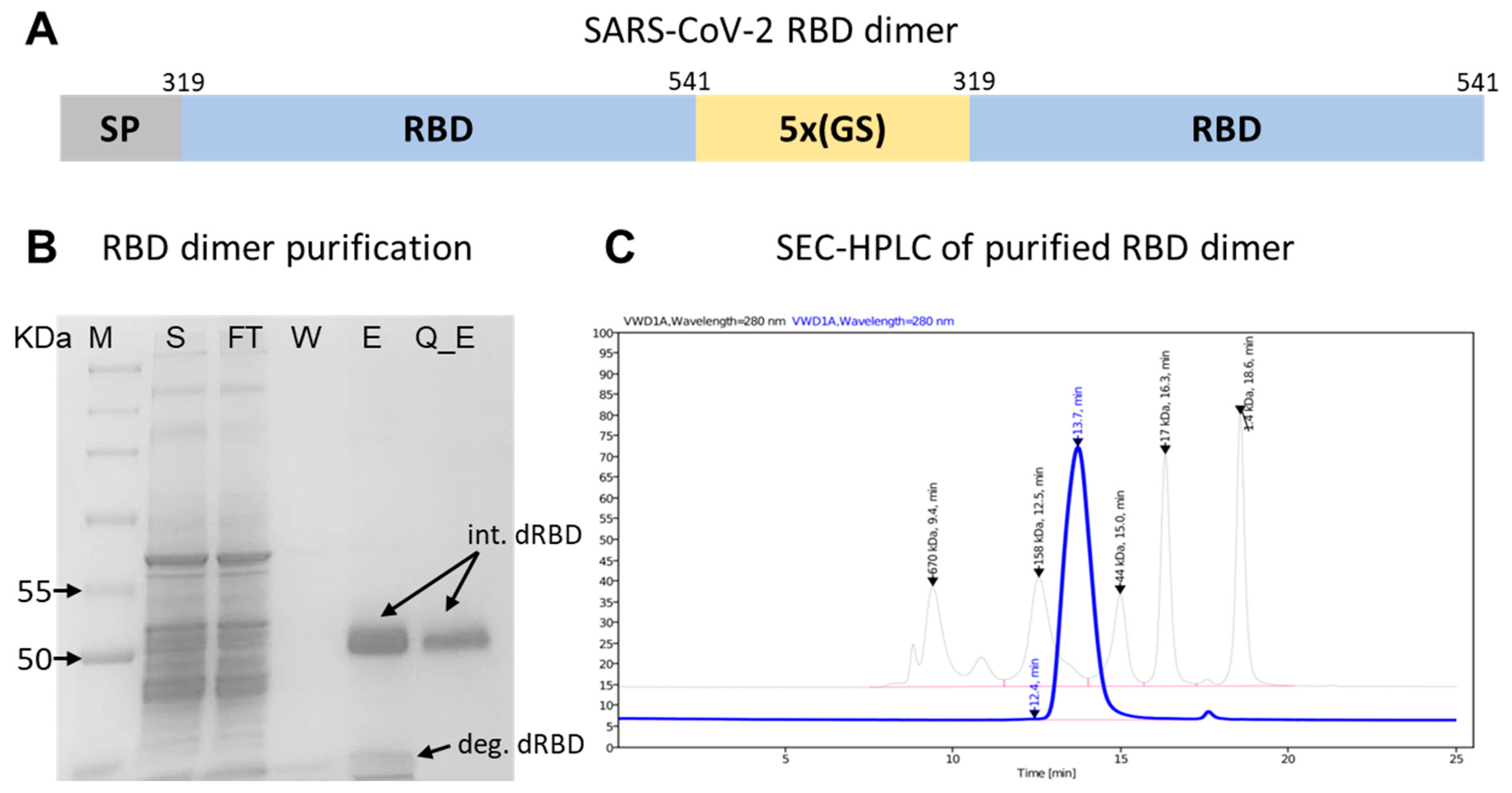 Vaccines 12 01420 g002