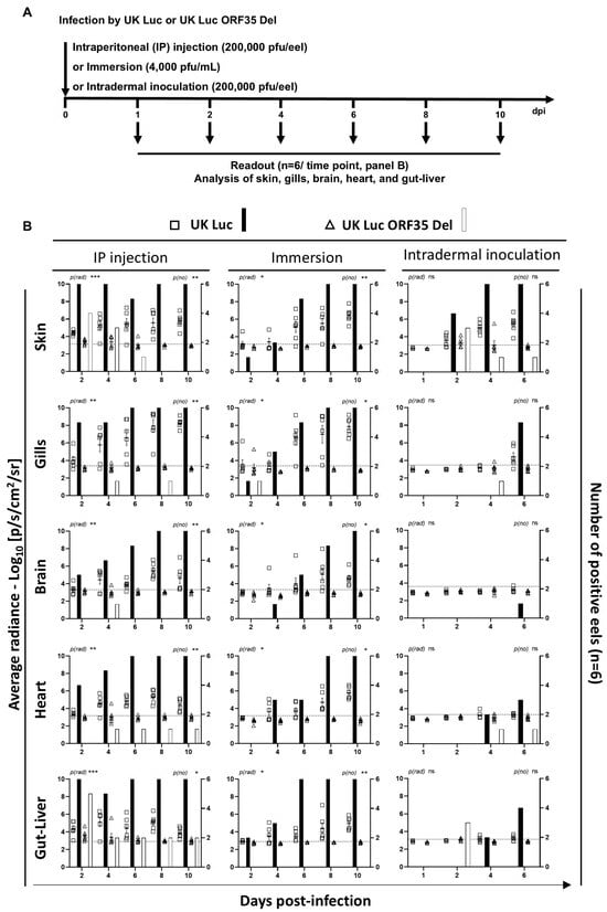 Vaccines 12 01423 g003a