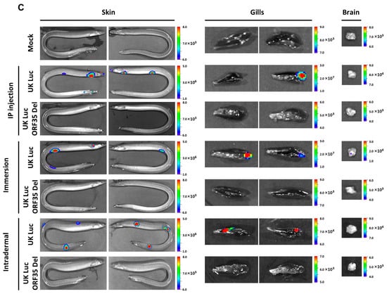 Vaccines 12 01423 g003b