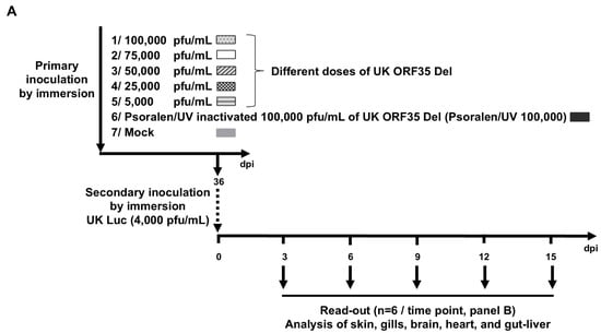 Vaccines 12 01423 g004a