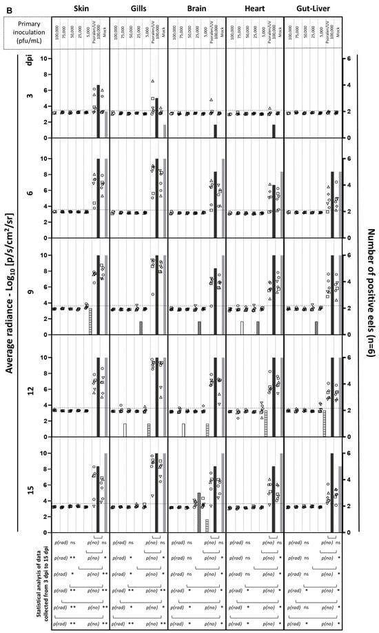 Vaccines 12 01423 g004b