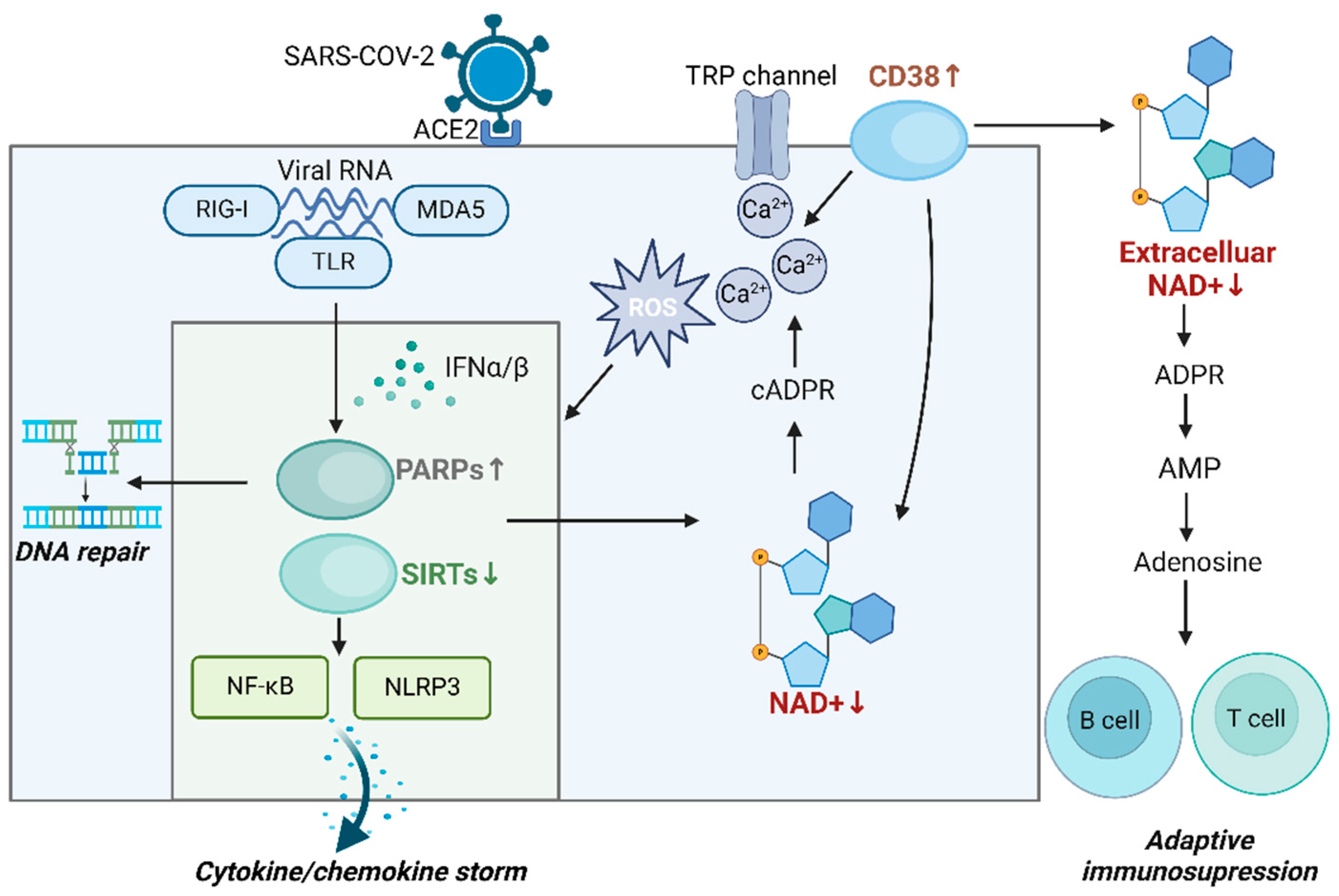 Vaccines 13 00001 g002