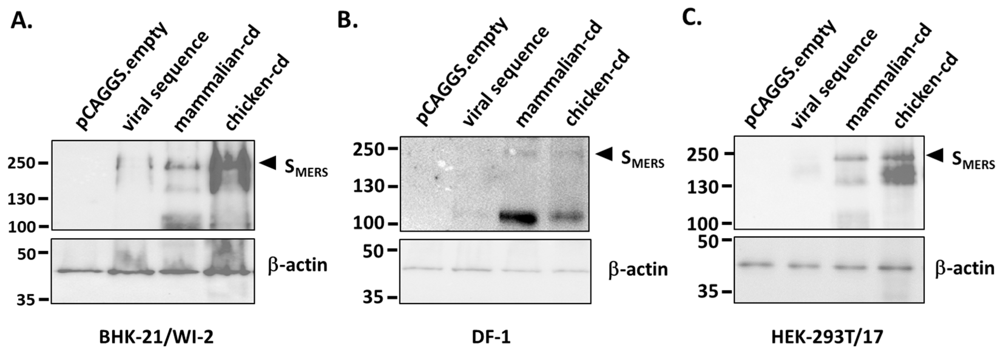 Vaccines 13 00002 g001 Vaccines 13 00002 g001
