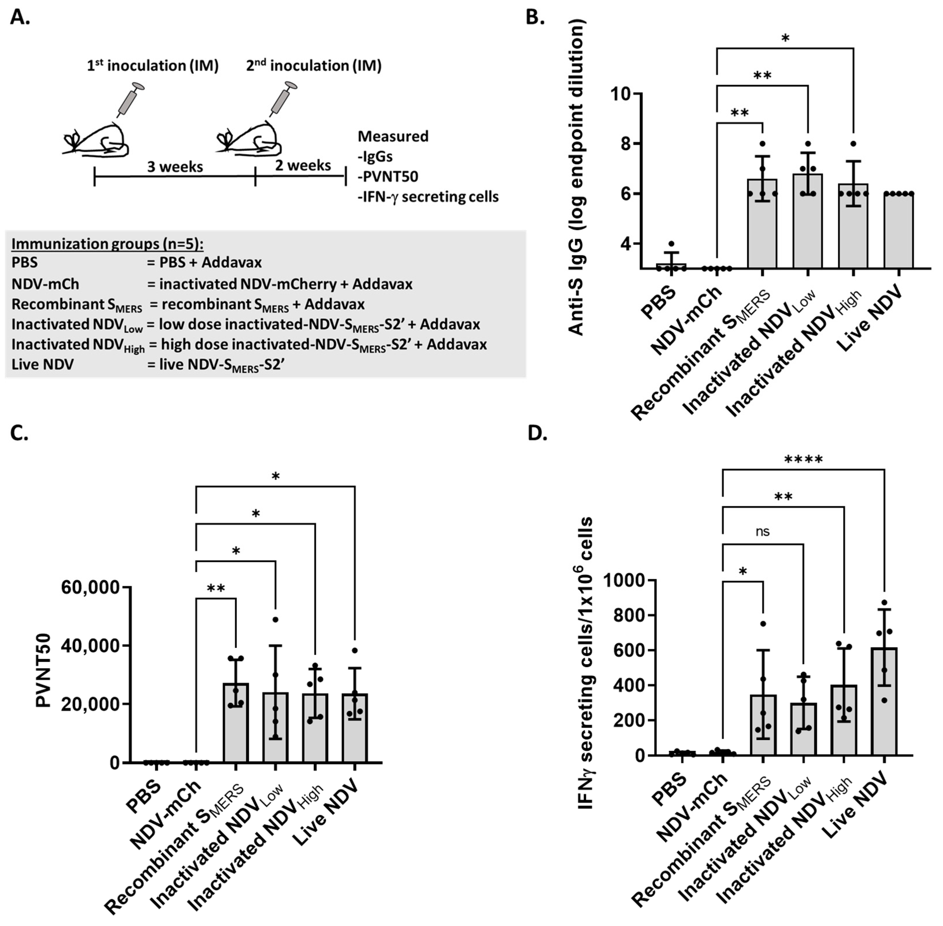 Vaccines 13 00002 g005 Vaccines 13 00002 g005