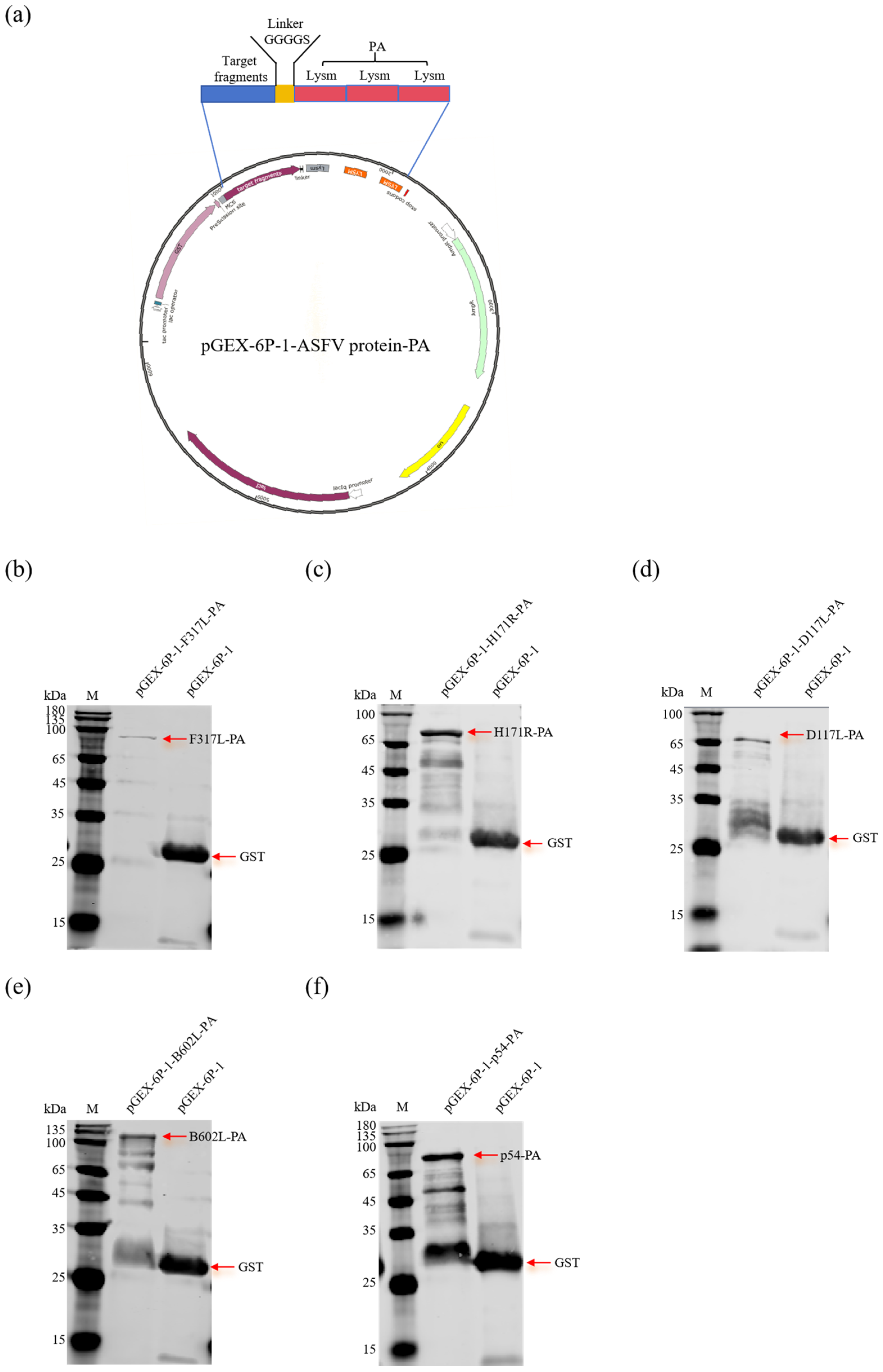 Vaccines 13 00005 g001