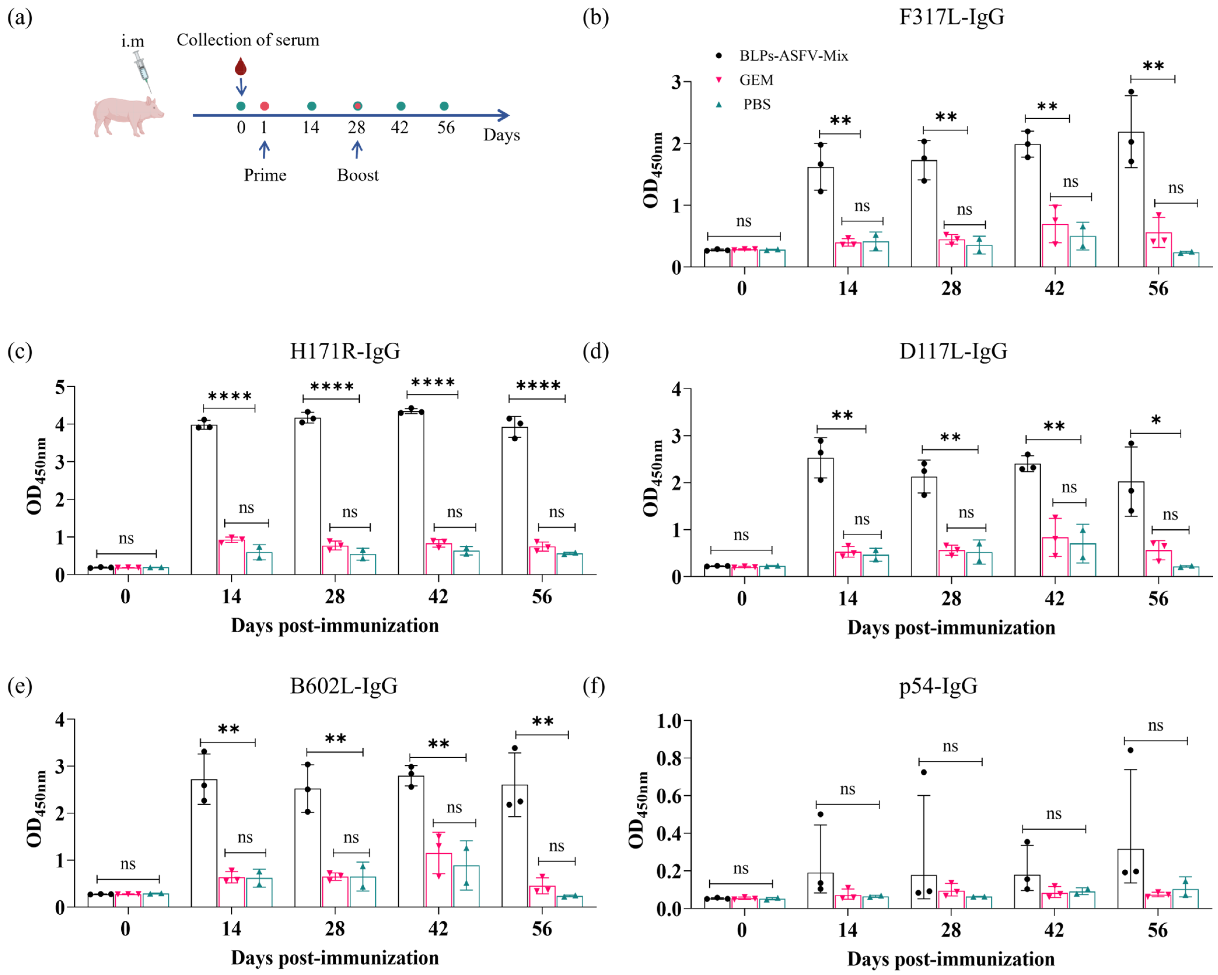 Vaccines 13 00005 g004