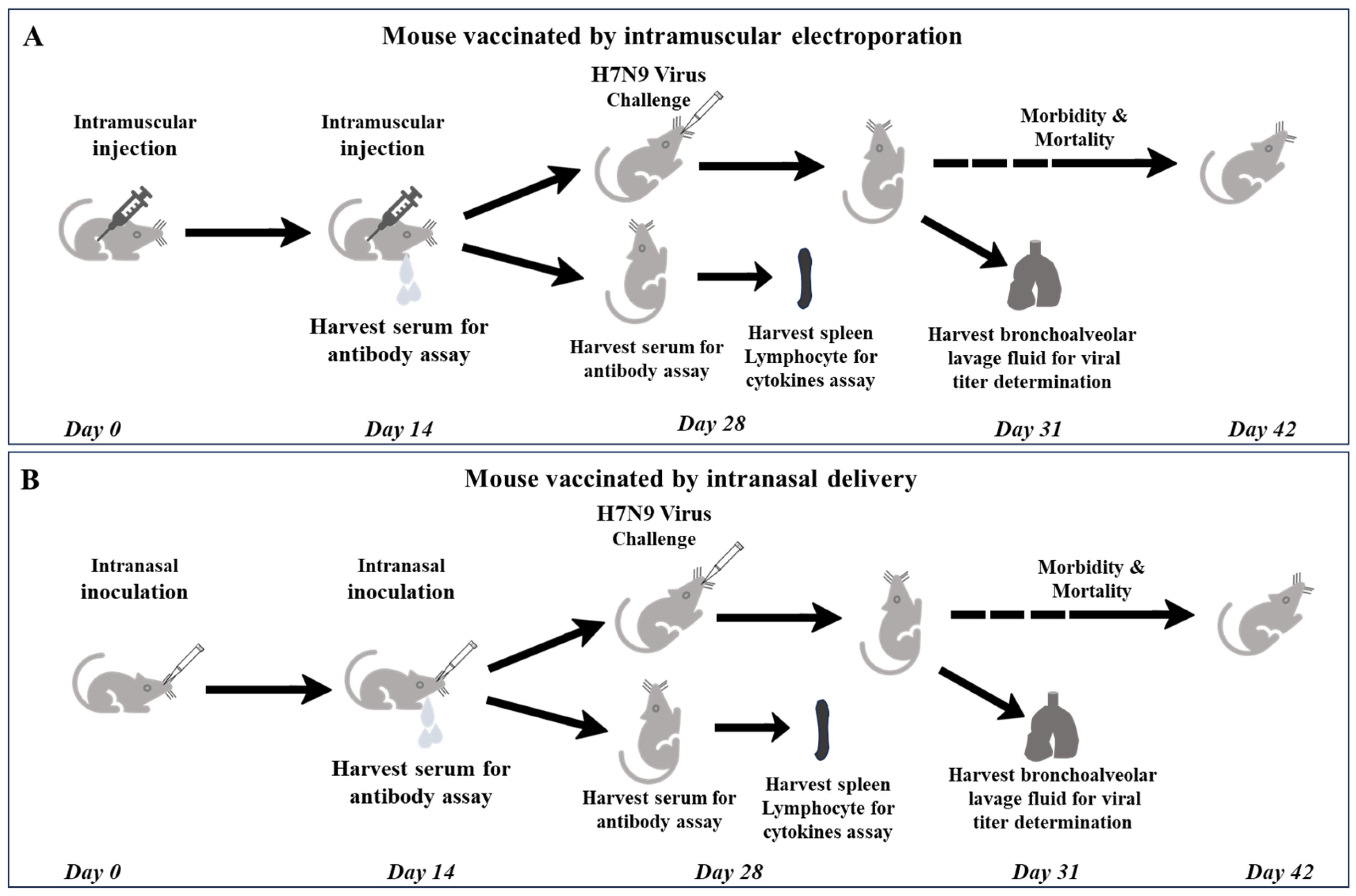 Vaccines 13 00010 g001