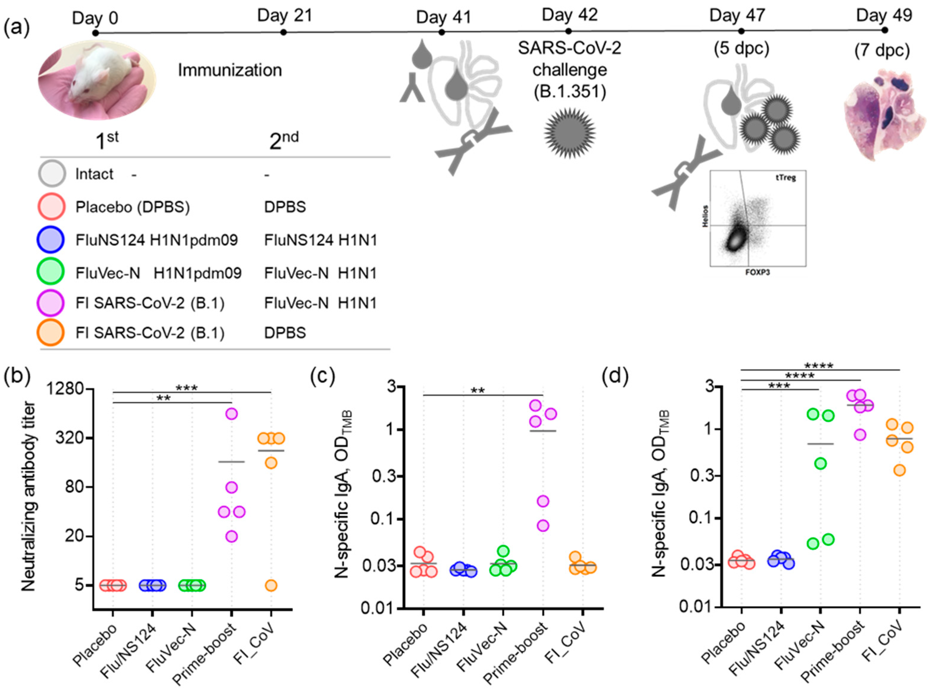 Vaccines 13 00015 g003