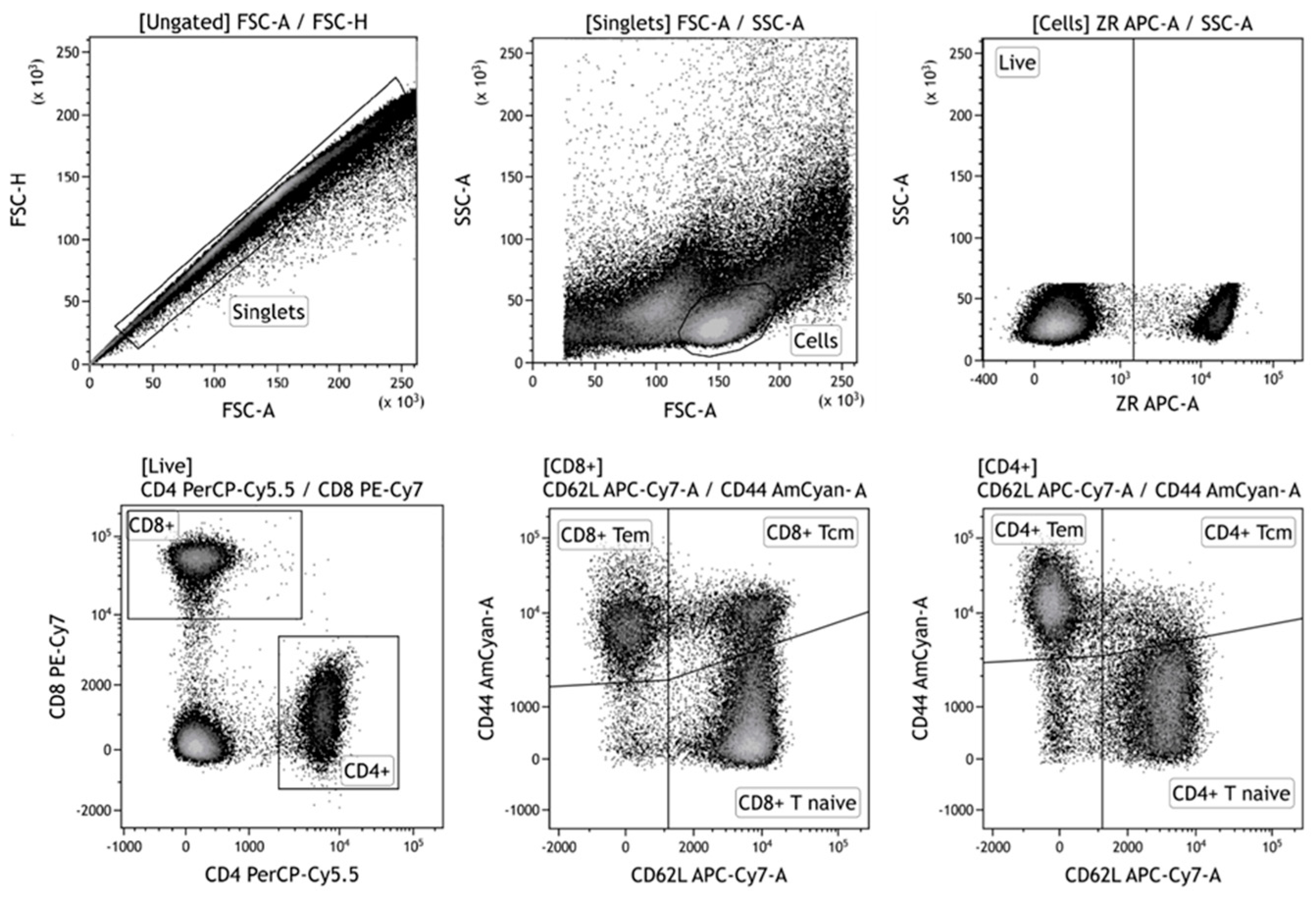 Vaccines 13 00015 g0a2