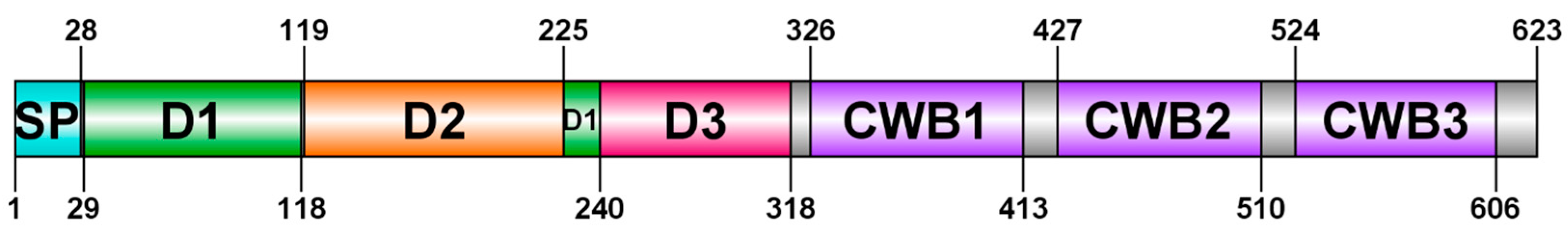 Vaccines 13 00021 g001