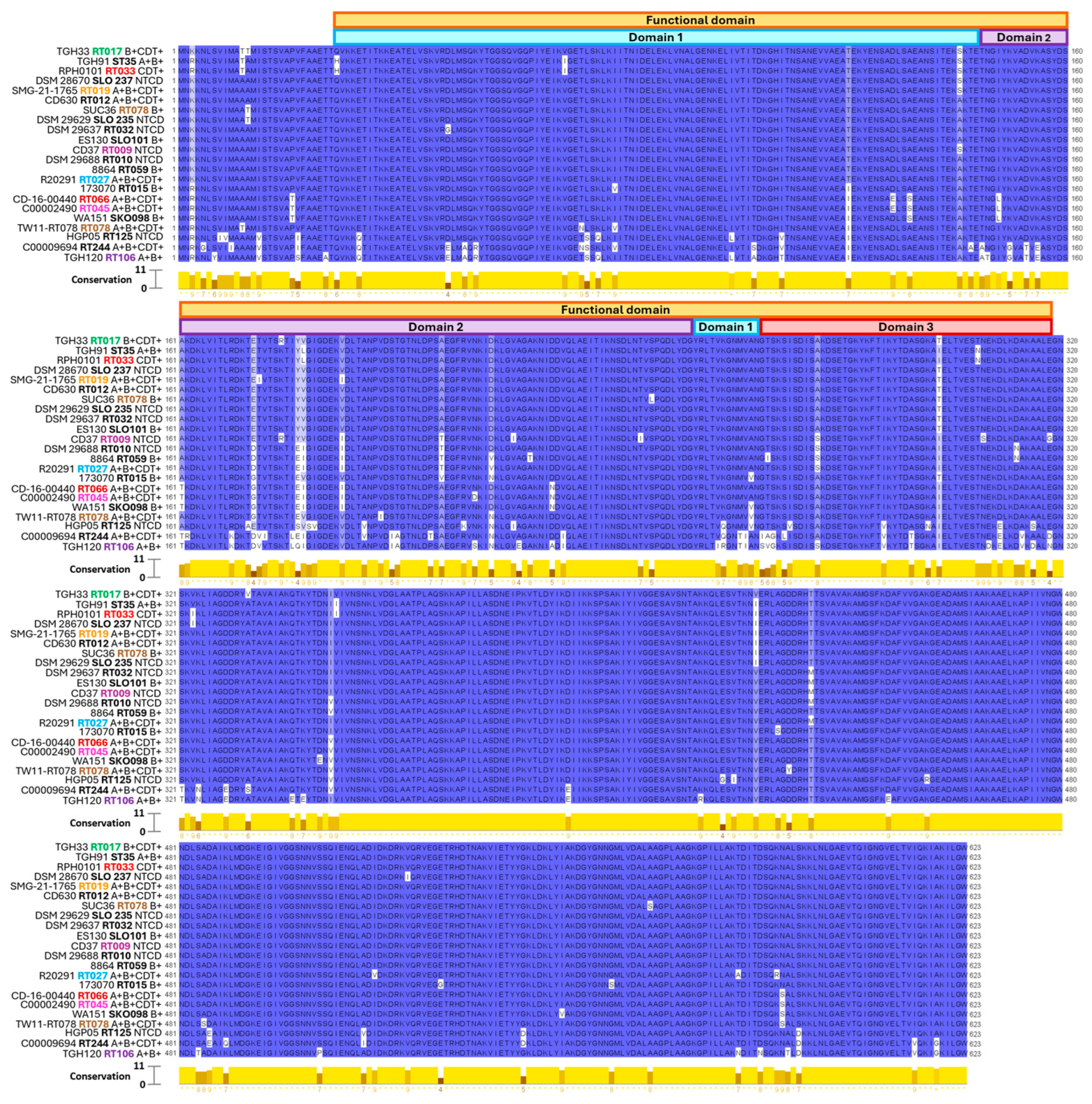 Vaccines 13 00021 g004