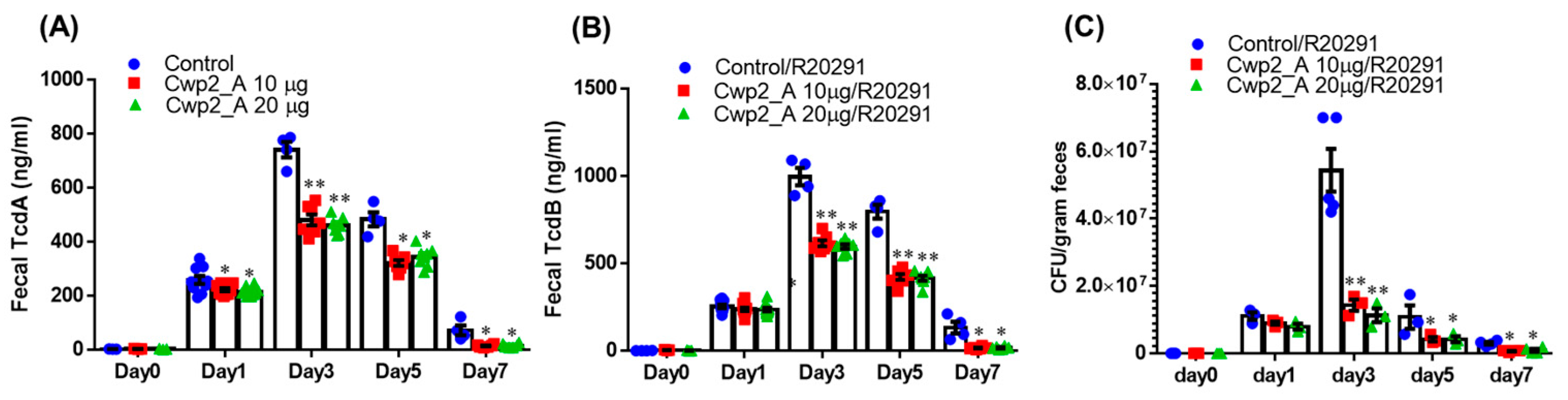 Vaccines 13 00021 g007