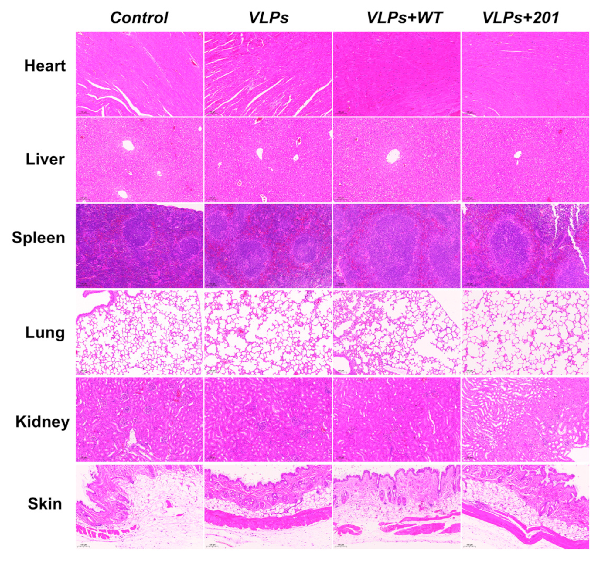 Vaccines 13 00024 g003